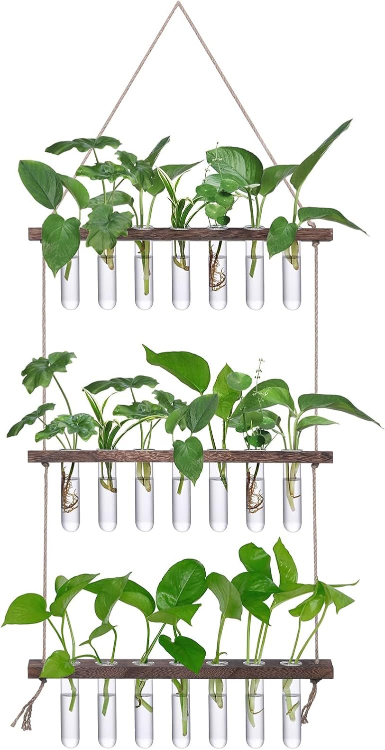 XXXFLOWER Wall Hanging Propagation Station with Wooden Stand 21 Glass Test Tubes 3 Tiered Planters Wall Terrarium for Home Office Plant Hanger Flower Vases Wall Decor Hydroponic Cuttings