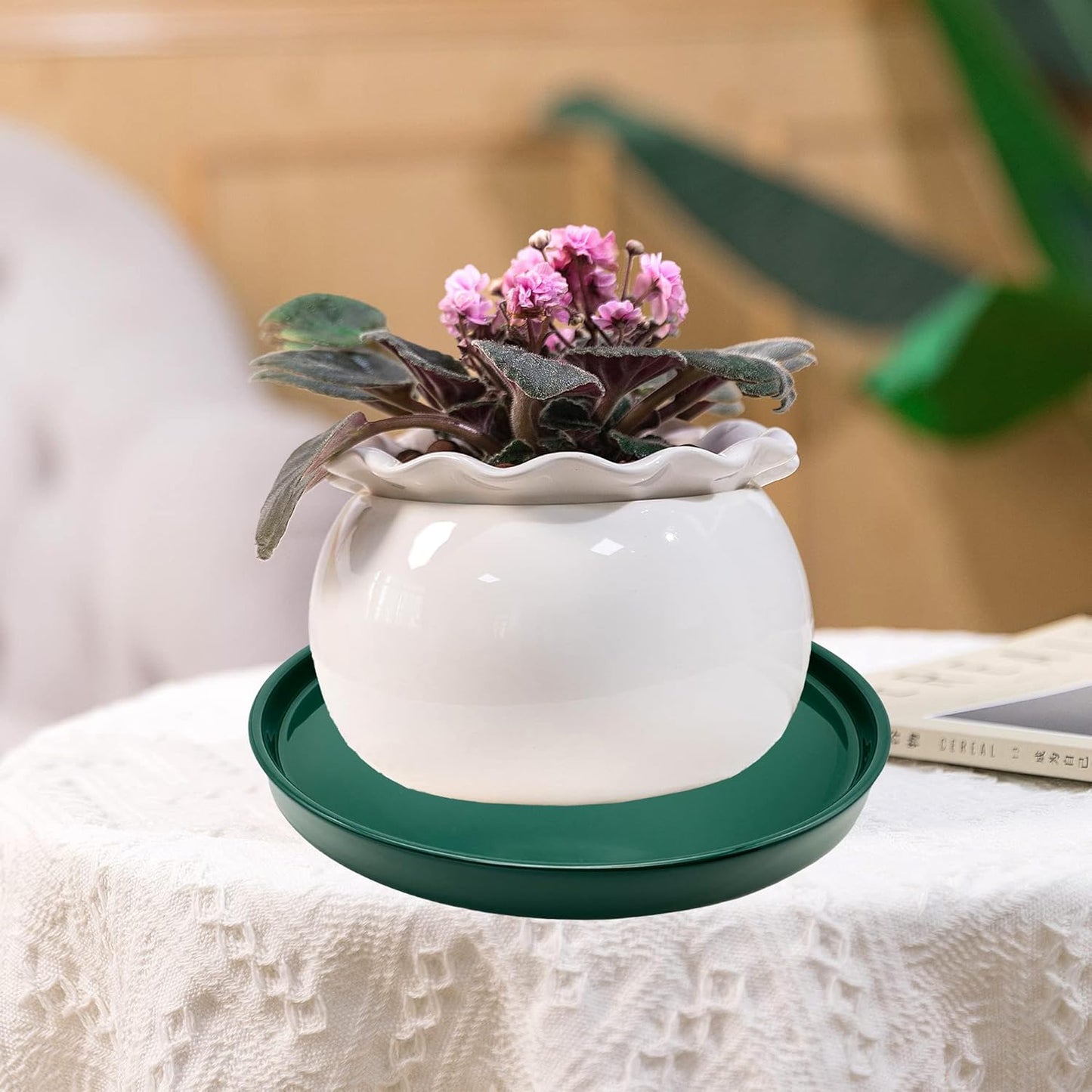 Ceramic Plant Saucer Pot Tray 10 Inch, Planter Saucers 4 5 6 7 8 9 10 11 12 13 Inch for Indoors Outdoor, Durable Sturdy Flower Drainage drip Water Tray for Glazed Pots Base (10.7 Inch-Green)