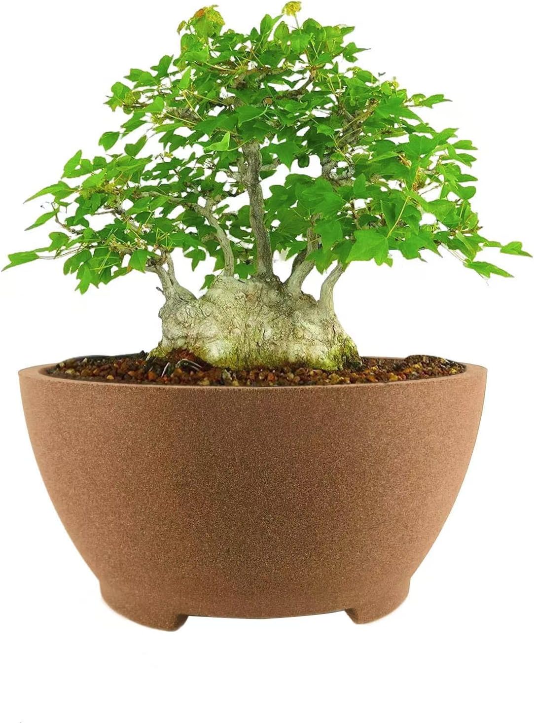 8.26” Large Bonsai Pots with Drainage Breathable Rough Pottery Planter Sand-Textured Short Legs Bonsai Tree Pots Ceramic for Indoor Plants Succulent