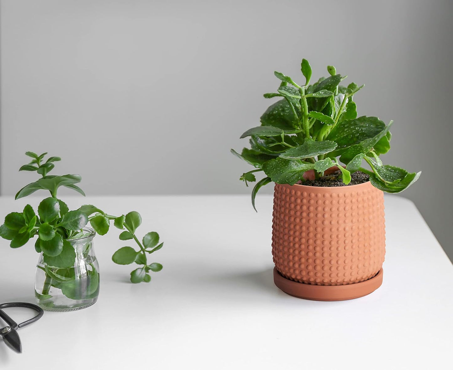 D'vine Dev Set of 2 Ceramic Plants Pots, 4 Inch Beaded Stoneware Flower Pot for Plants with Drainage Hole and Saucer, Terracotta, 27-E-Z-7