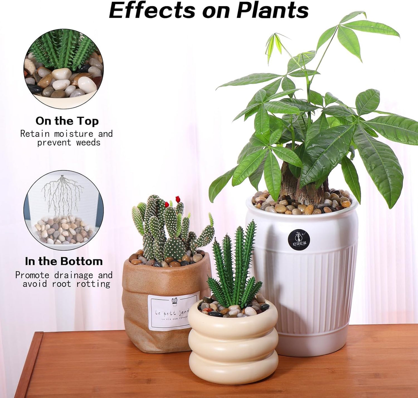 Calofulston 2.2lb Pebbles, 3/8 Inch Small Pebbles for Indoor Plants, Aquariums, Bamboo, Succulent, Vase, Outdoor Landscaping, Decorative Polished Plant Rocks for Pots Indoor, Mixed Color