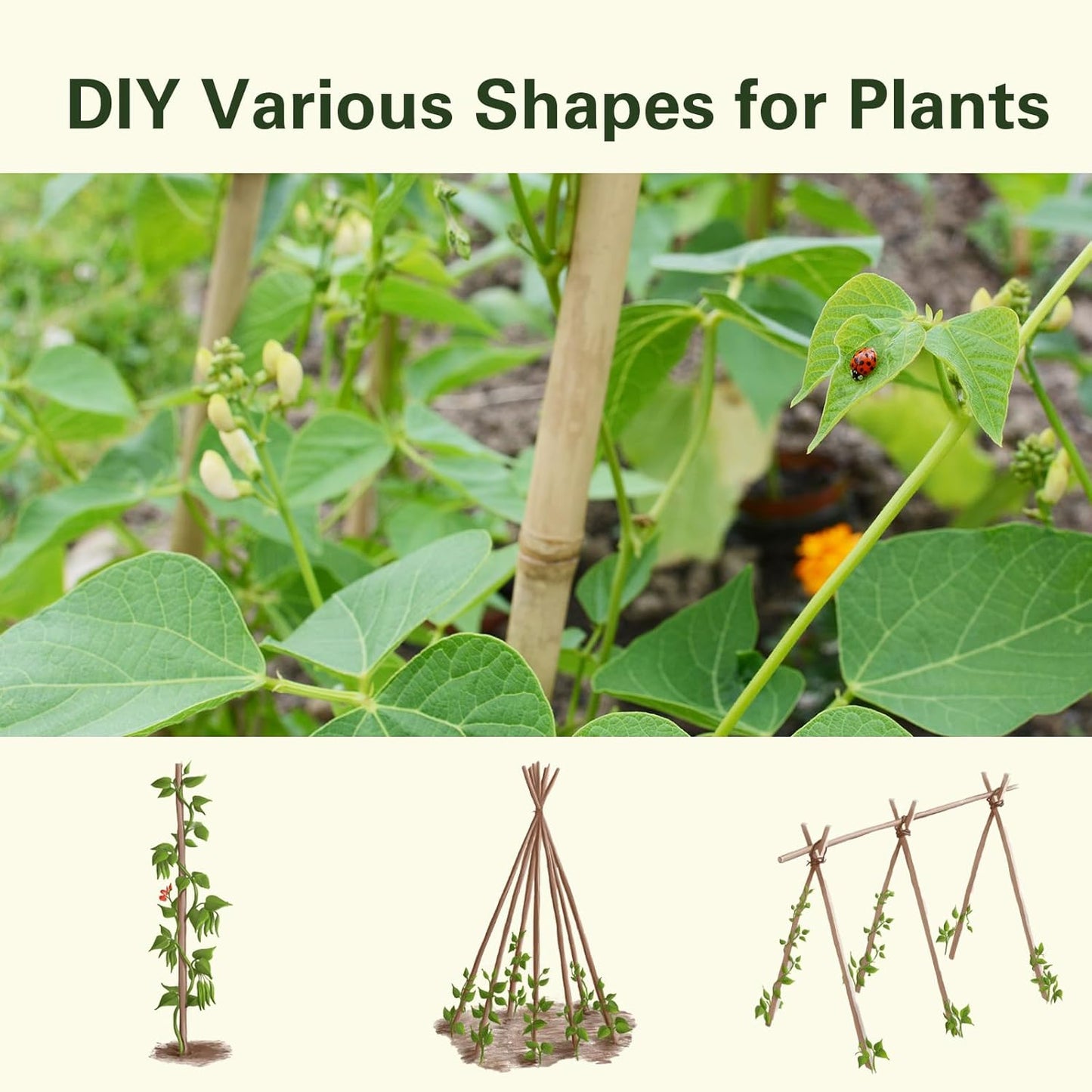 20pcs Bamboo Stakes 6 Feet, 6FT Garden Stakes Multi-Purpose, 5/8" Dia Plant Stakes for Tomatoes, Beans, Cucumbers, Peppers, Potted Trees, Maintain The Plant Posture, Strengthen and Stem