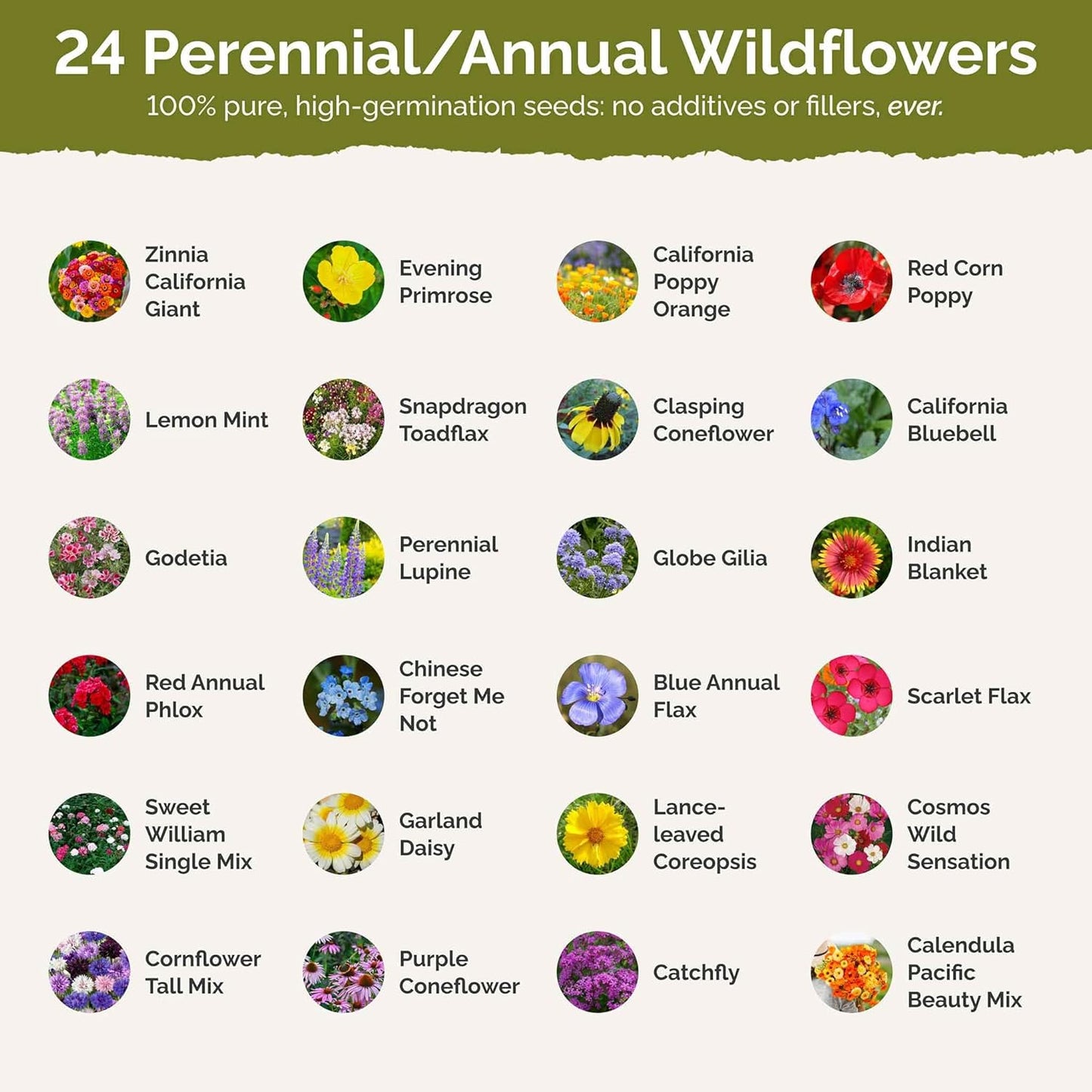Eden Brothers Heirloom Flower Mixed Seeds for Planting, 10 lb, 4,800,000+ Seeds with Zinnia, Toadflax, Evening Primrose | Attracts Pollinators, Plant in Spring or Fall, Zones 3, 4, 5, 6, 7, 8, 9, 10