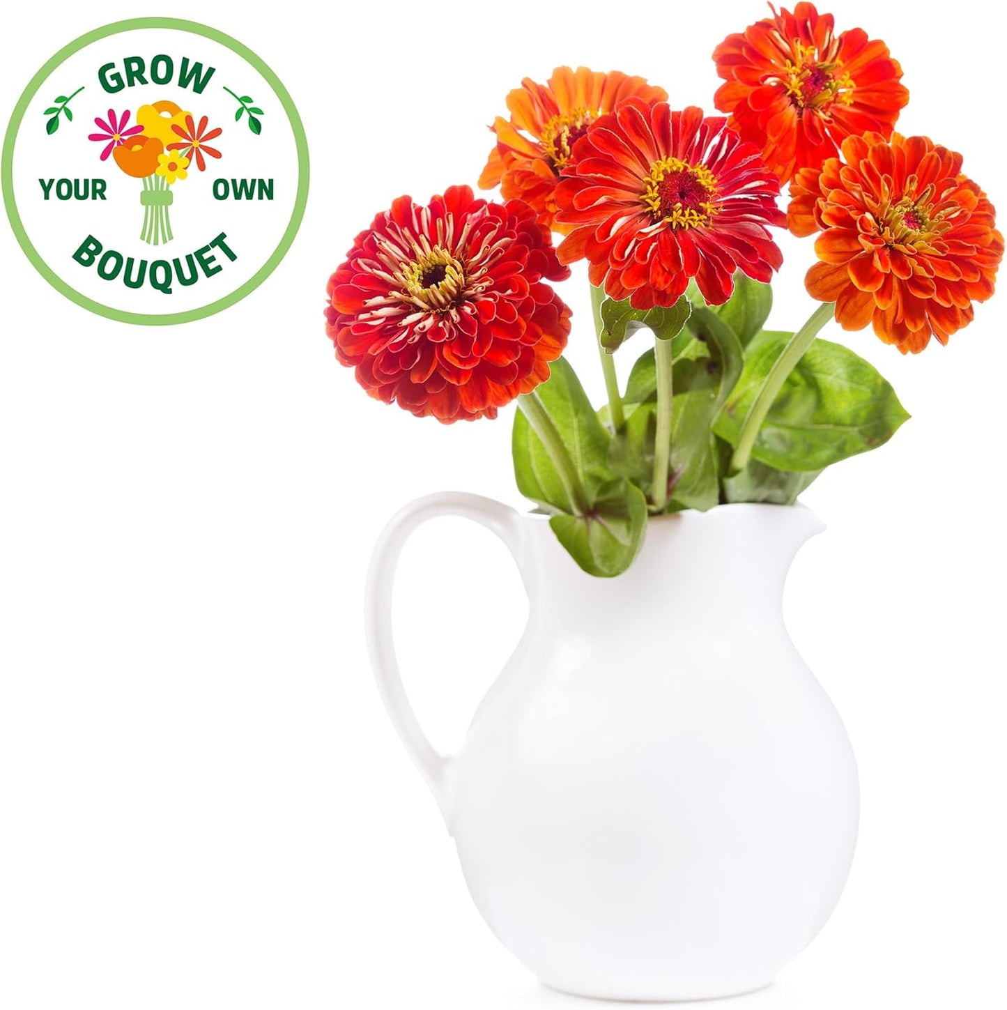Back to the Roots Organic Zinnia Flower Grow Kit with Plantable Starting Pot Soil and Seeds