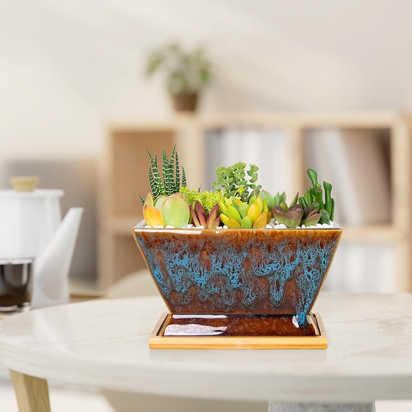 ARTKETTY Succulent Pots - 7 Inch Large Plant Pot with Drainage Tray, Shallow Ceramic Pots for Indoor Plants, Modern Cactus Bonsai Plant Container Decorative Home Office