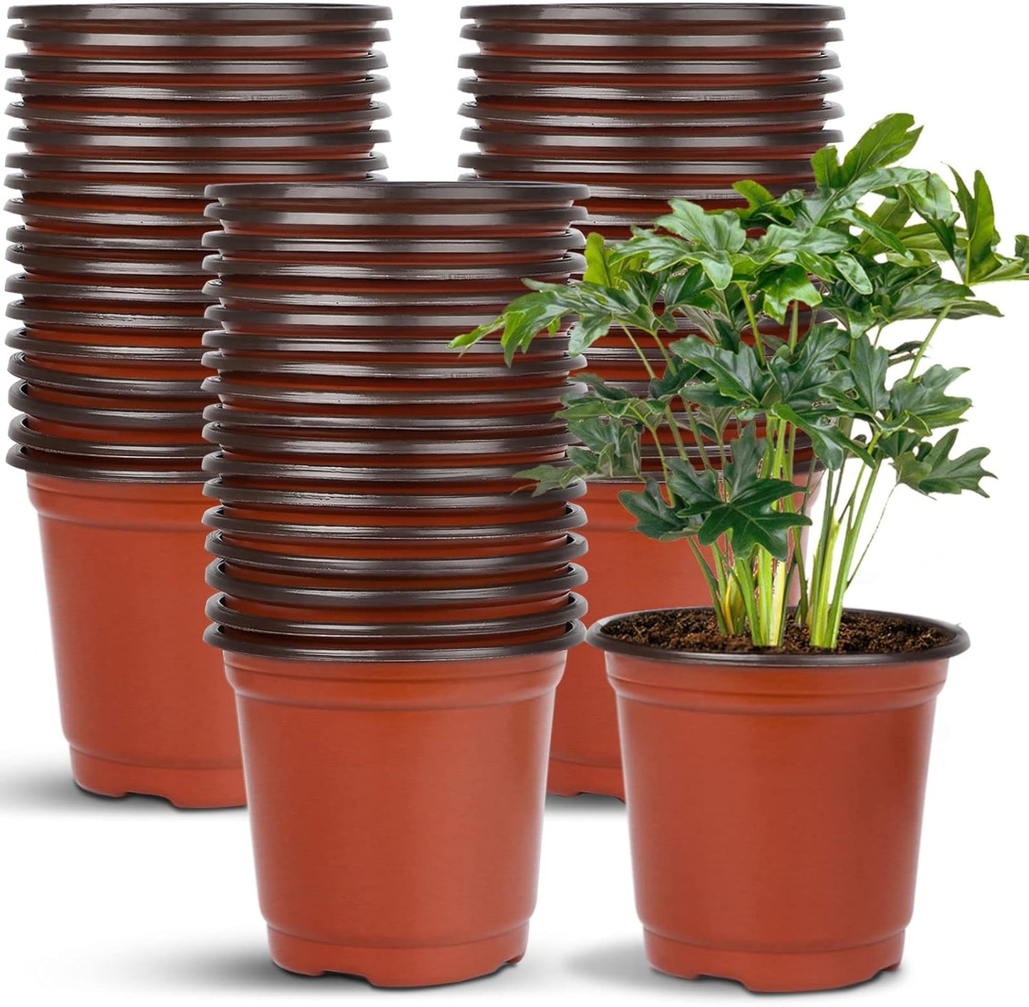 Augshy 40 Pcs 6" Plastic Plant Nursery Seed Starting Pots for Indoor Outdoor Succulent Seedling Cutting Transplanting