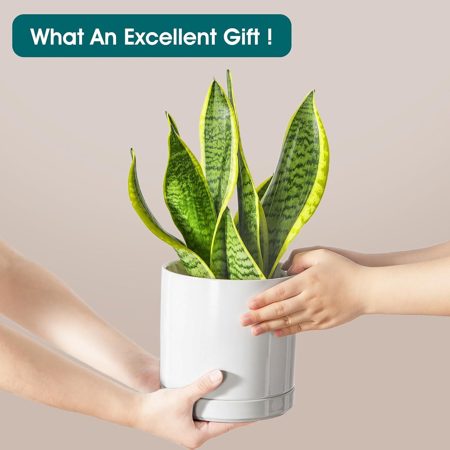 vancasso Ceramic Plant Pots, 6.25 Inch Ceramic Pot for Plants, Planters Pots for Indoor Plants with Drainage Holes, Flower Pot for Indoor House Plant, White