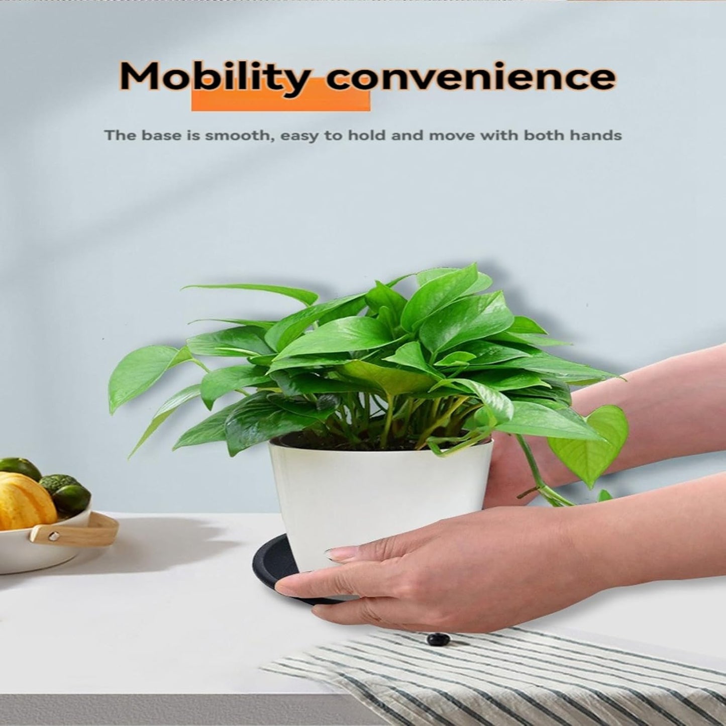 8 Pack Plant Saucer 10 Inch Plastic Plant Tray, Sturdy and Durable Flower Pot Container Accessories Plant Pot Saucers for Indoor and Outdoor (10Inch, Black)