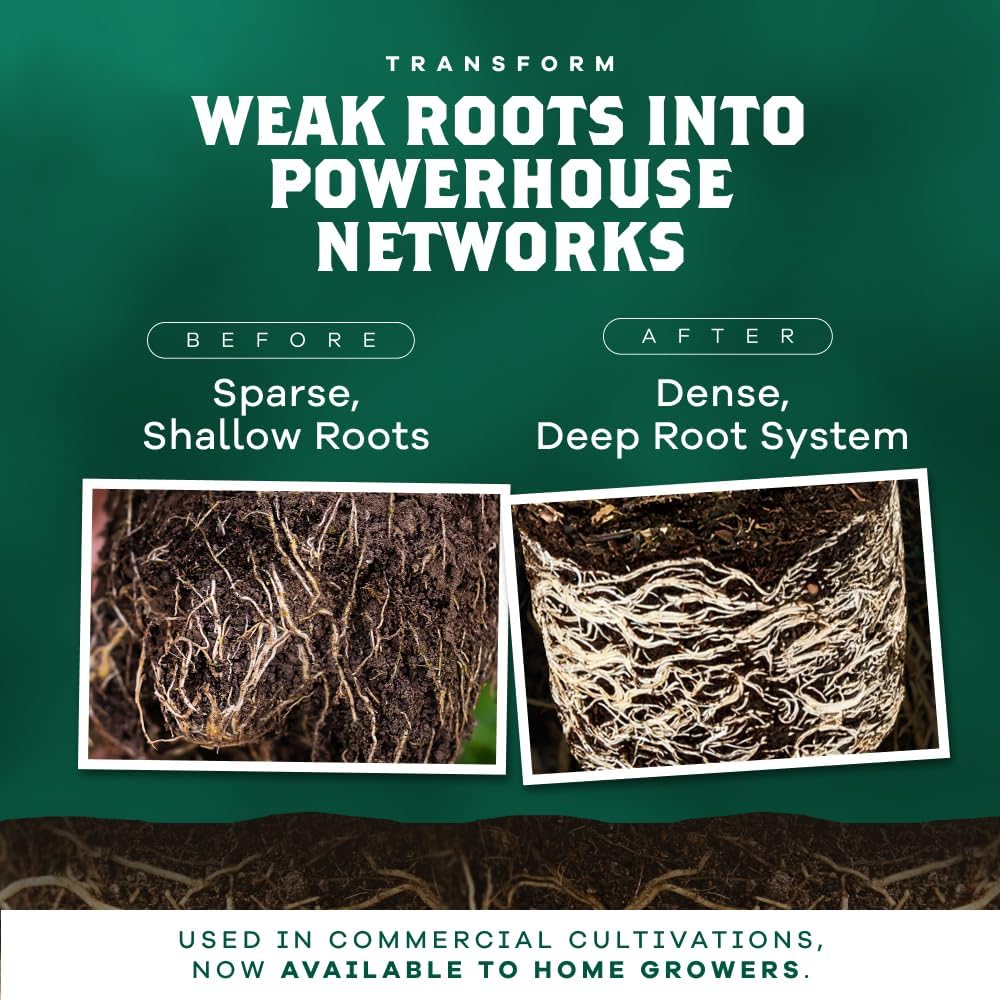 DYNOMYCO Granular Mycorrhizal Fungi Inoculant, 200g / 7oz – Boosts Root Growth, Yields & Nutrient Uptake – 900 Propagules/g, Concentrated Granules, & OMRI Listed – Biofertilizer for Plant Growth