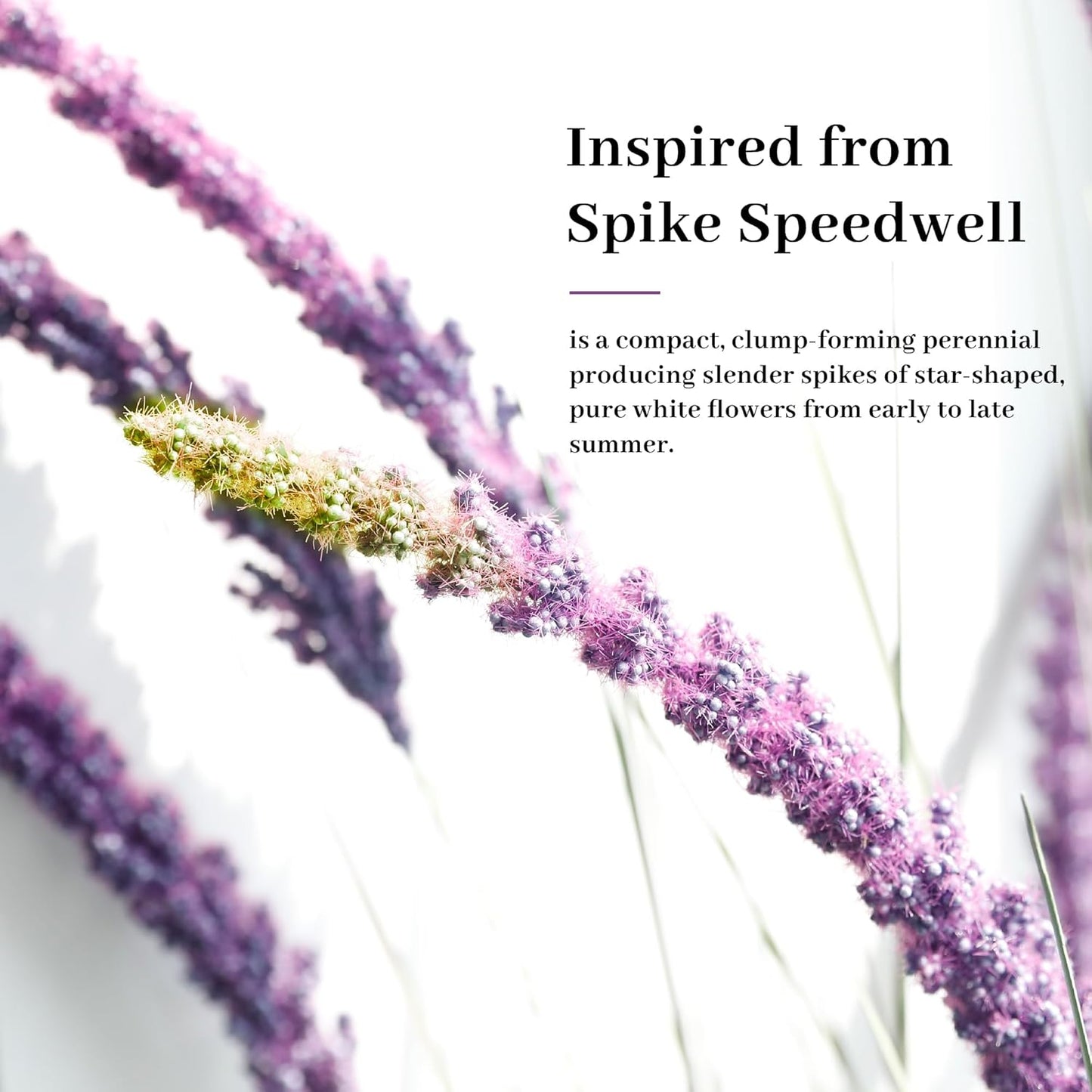 KOL 4ft 2-Pack Faux Veronica Spiked Speedwell Grass, 47in Artificial Veronica Spicata Flower, Tall Reed Grass for Home Office Garden Wedding Décor, Indoor/Outdoor Fake Plant, UV-Resistant, Purple