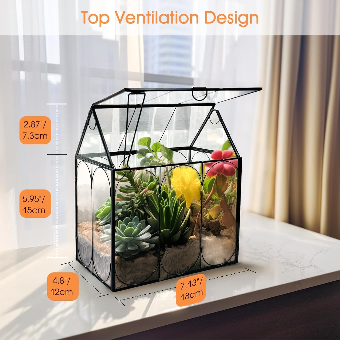 Plant Terrarium Kit, Rifny Small Glass Terrarium Jar with Absorbent Mat and Lid for Venus Fly Trap Succulent Live Air Plants Indoor Home Office Decor (Black, 7.1 x 4.8 x 8.8 inch)