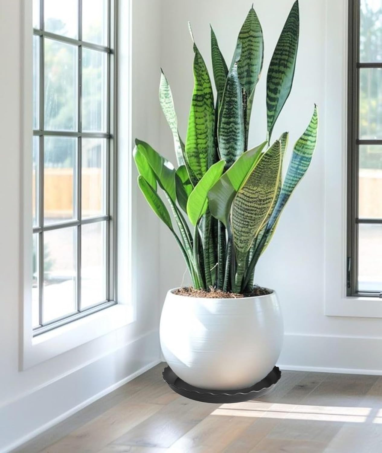 4 Pack of 16 inch Plant Saucer, Depth Large Plant Tray, Heavy Duty Plant Trays for Indoors no Holes, Plastic Pot Tray for Planter (Black)