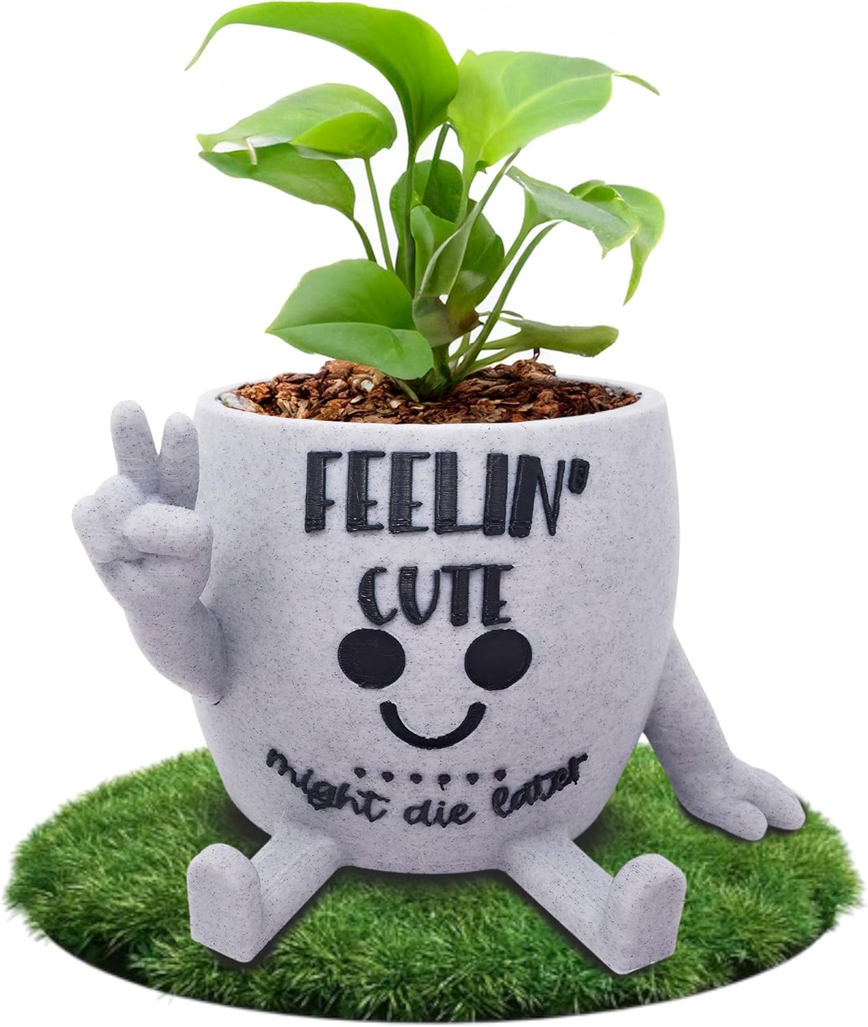 Funny Face Indoor Head Planter Pot, 3D Printed, Unique Small Succulent Flower Pot, Cute Cactus Planter, Indoor Home Decor, Office Desk Plant Pot, Novelty Gardening Gift Set