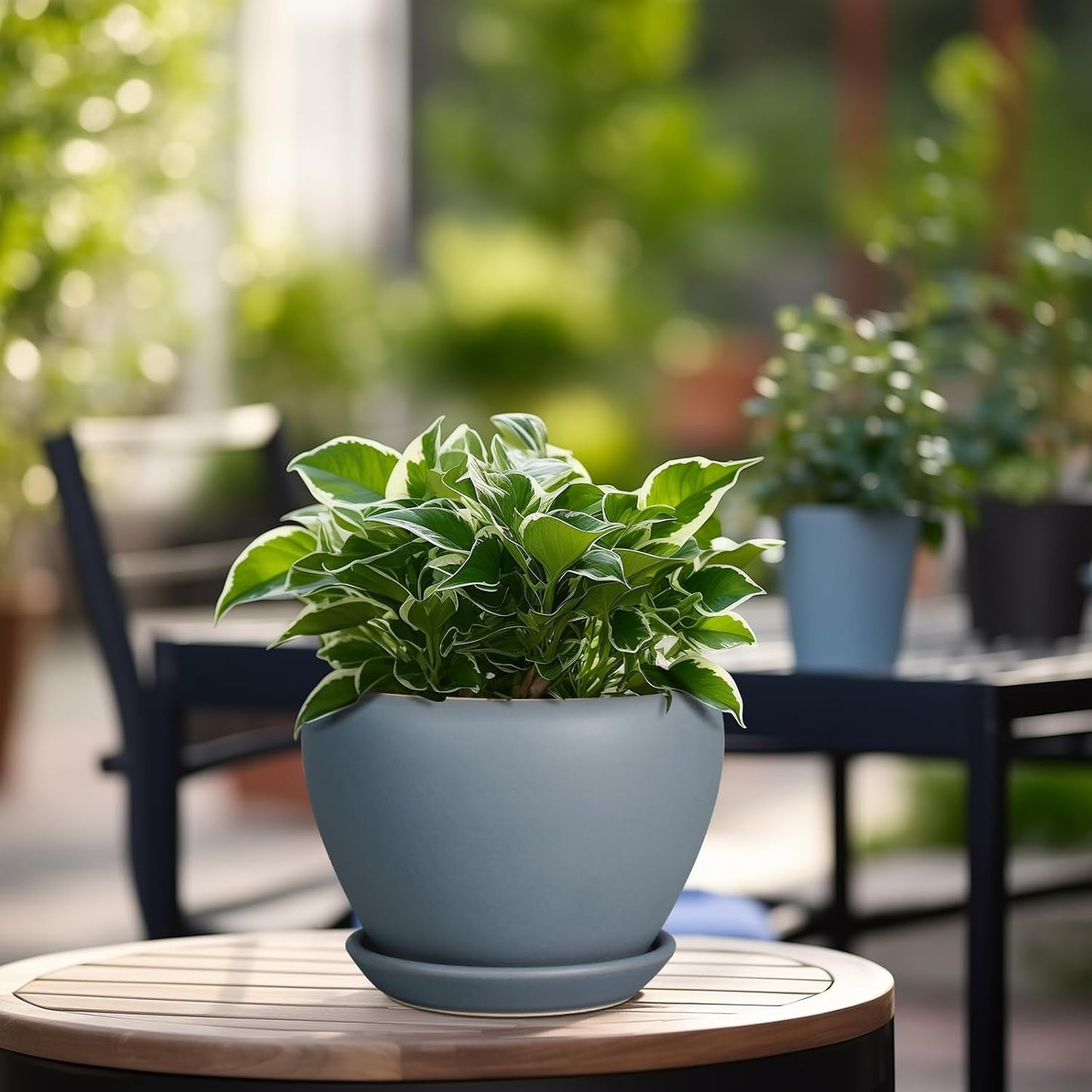 Ceramic Pot for Plants - 6 Inch Plant Pot Indoor with Drainage Hole and Saucer Decorative Planter for Outdoor Plants Modern Succulent Pots Round Flower Pots Gray