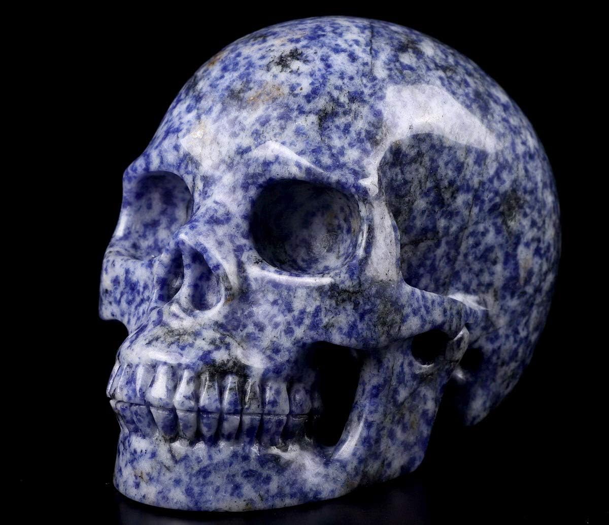 Skullis 5.0" Blue Speckled Sodalite Crystal Skull, Hand Carved Gemstone Fine Art Sculpture, Reiki Healing Stone Statue. z8