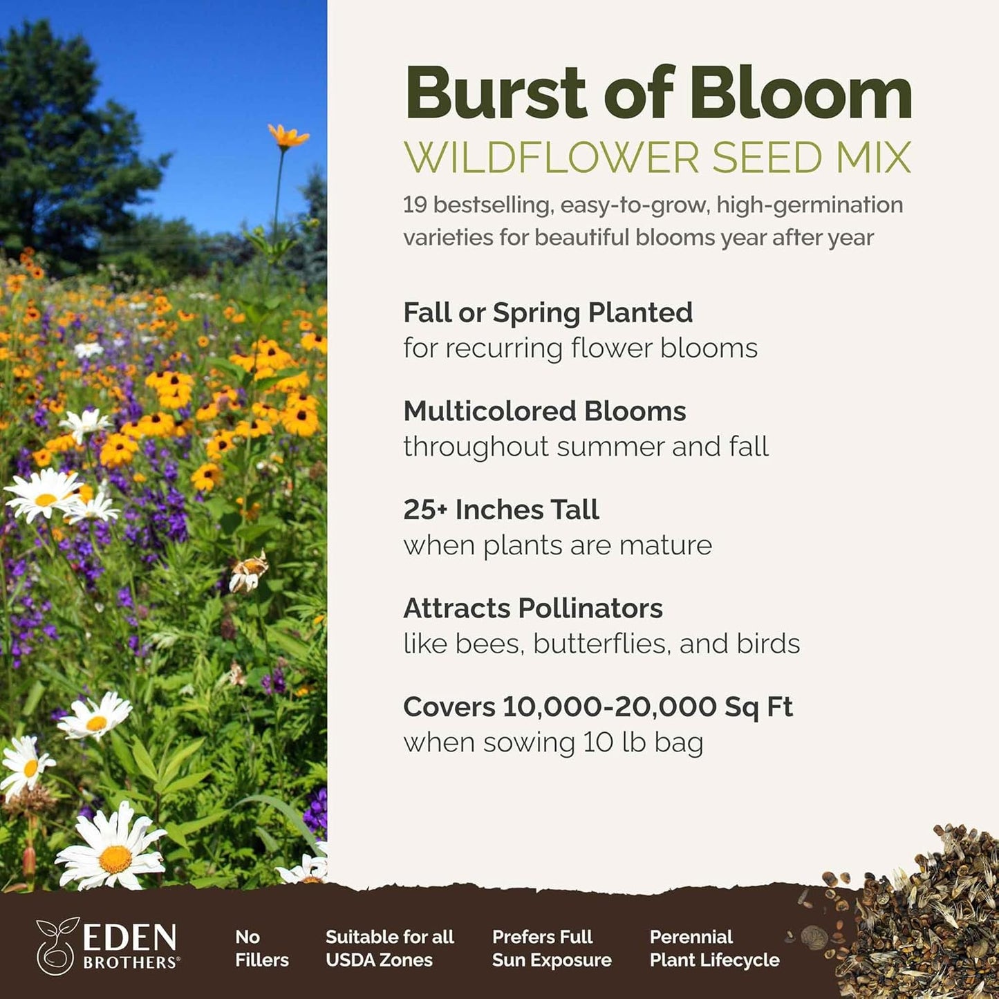 Eden Brothers Burst of Bloom Wildflower Mixed Seeds for Planting, 10 lb, 4,800,000+ Seeds with Cosmos, Black Eyed Susan | Attracts Pollinators, Plant in Spring or Fall, Zones 3, 4, 5, 6, 7, 8, 9, 10