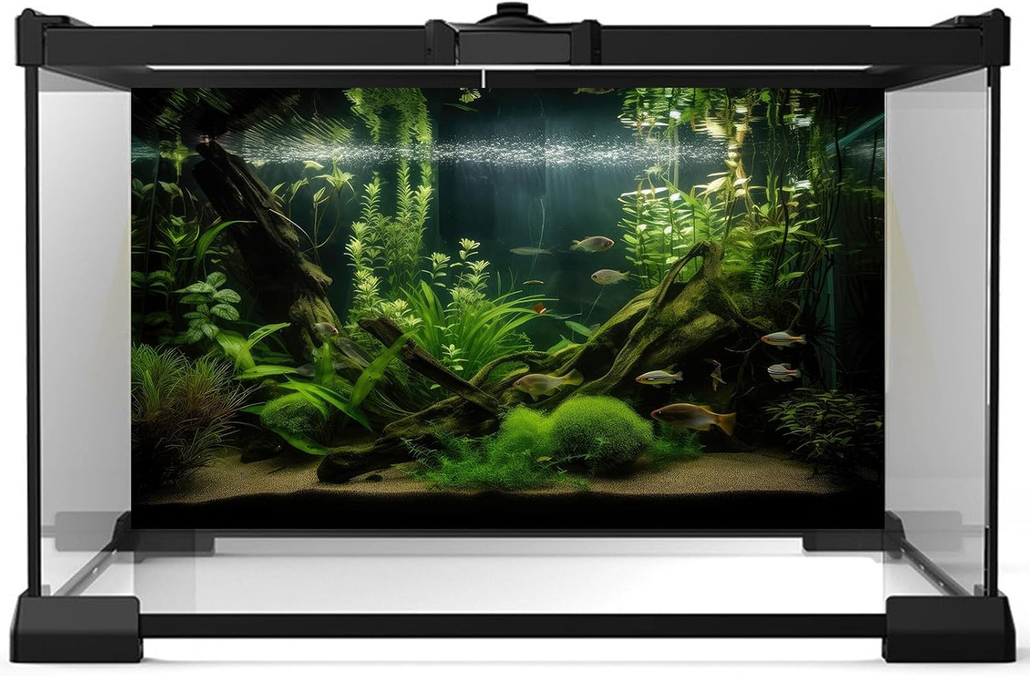 Aquarium Background Diverse Aquatic Plants and Seagrasses Terrarium Background Redwood Root Lush Green Underwater Plants Moss Fish Tank Background Under The Sea Aquarium Backdrop Vinyl 30x18in