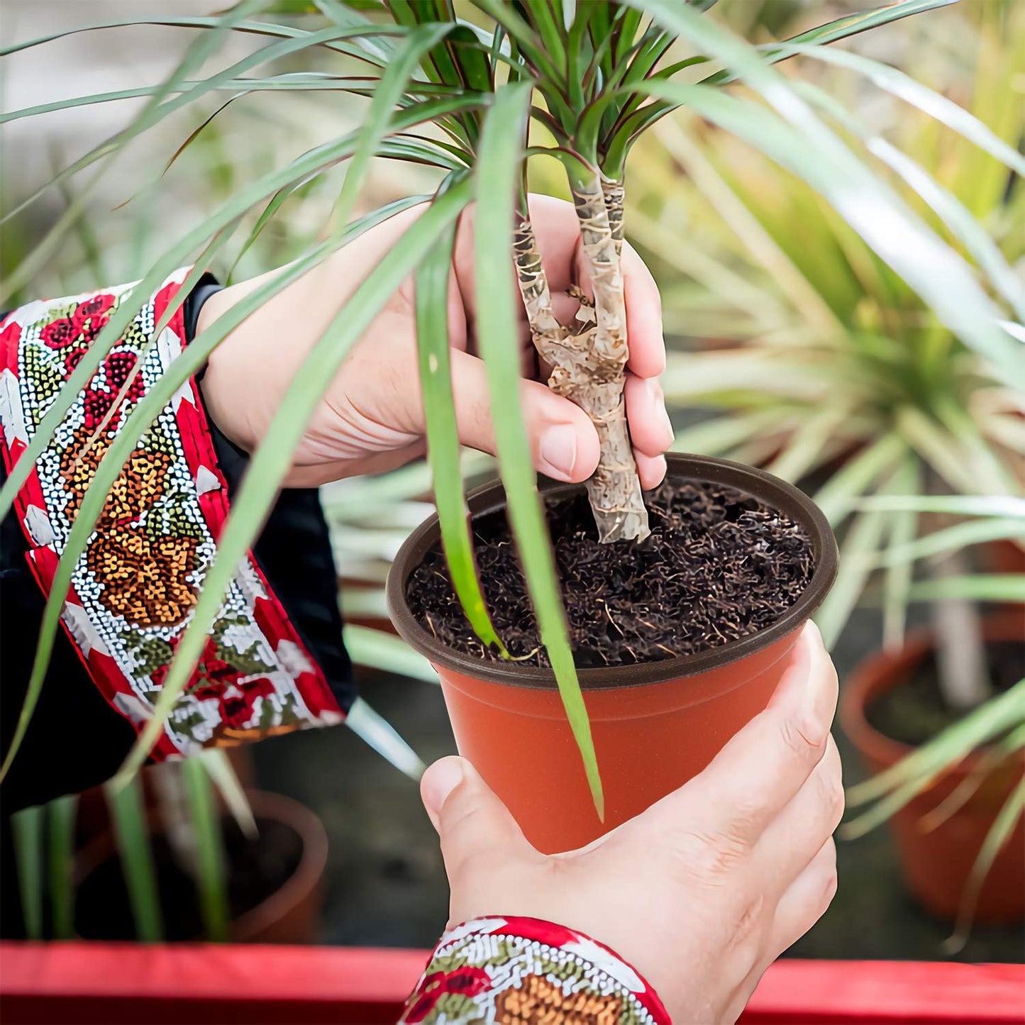 Augshy 150 Pcs 4" Plastic Plants Nursery Pot, Seed Starting Pots for Succulent Seedling Cutting Transplanting