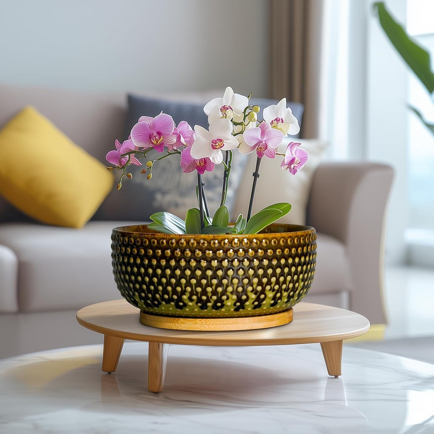 Bonsai Pots 8 Inch - Ceramic Planter for Indoor Plants, Succulent Pots with Drainage Hole and Plant Tray, Modern Round Decorative Flower Planters, Home Decor, Brown & Green