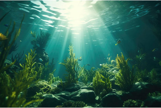 Ocean Aquarium Background Aquatic Plants with Rocks Terrarium Backdrop Sunlight Rays Deep Sea Fish Tank Background Aquarium Wallpaper Poster Decor Vinyl 24x16in