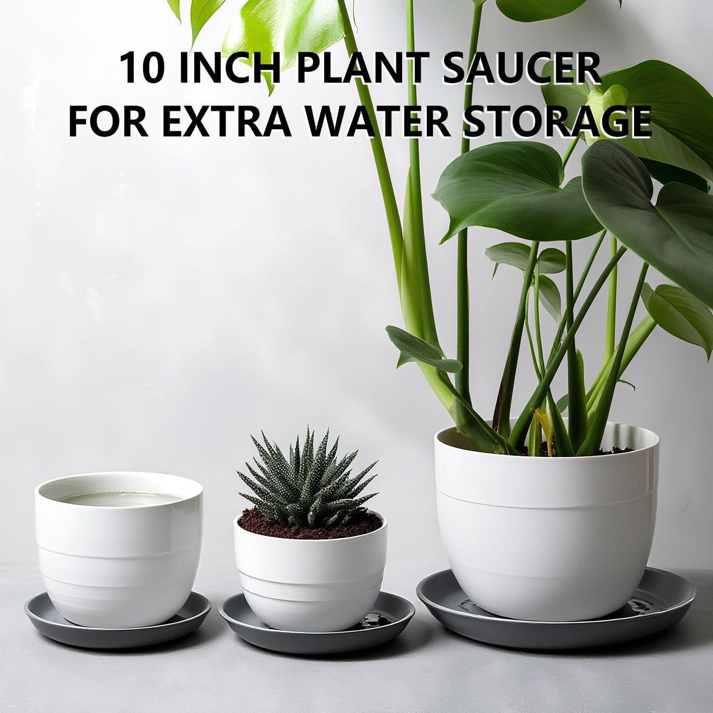 6 Pack 10-Inch Gray Plant Saucer Trays, Heavy Duty Plastic PP Pot Bases for Medium & Large Flower Pots, Durable Water Catcher Plates & Drip Trays for Indoor Outdoor Gardening Use