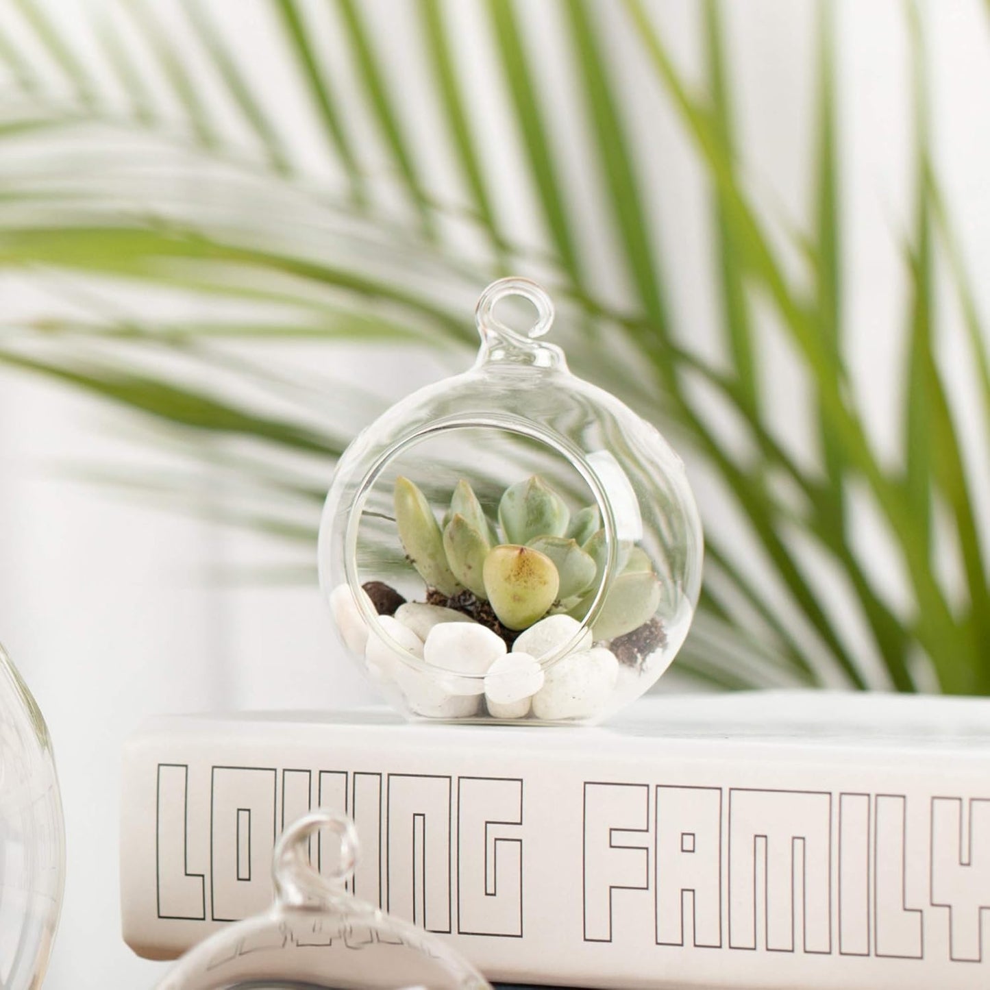 WGV Hanging Terrarium Globe, Width 2.25", Height 2.75", DIY Air Succulent Planter, Clear Glass Vase Orb with Flat Bottom, Candle Holder for Windowsill Outdoor Garden Decor, 24 Pieces Bulk