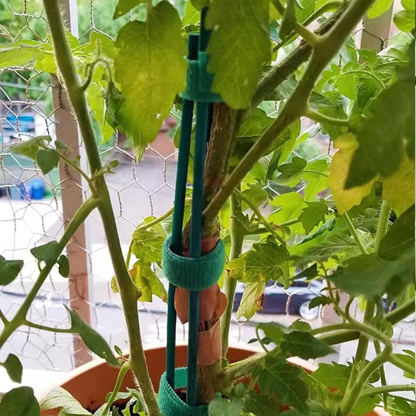 RONYOUNG 100 Pieces Green Bamboo Plant Stakes with 100 Pieces Orchid Clips and 100 Metallic Twist Ties for Supporting Stems Vines Stalks Grow Upright