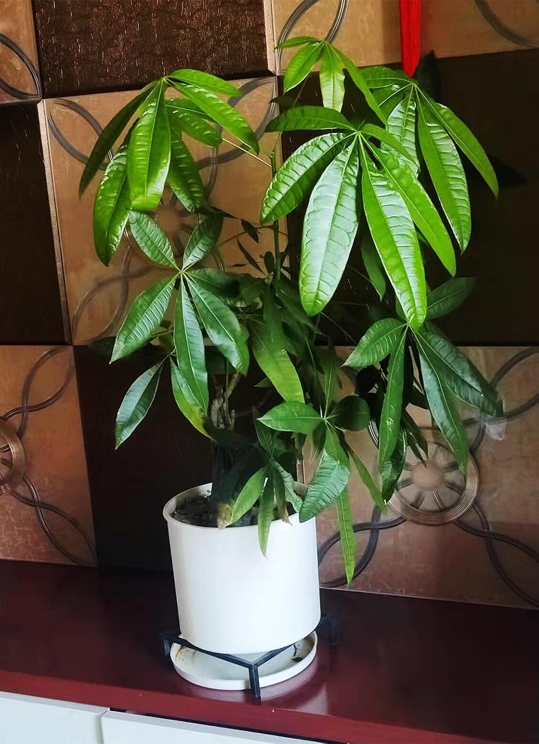 9.8" Metal Heavy Duty Potted Plant Stand Flower Pot Holder with Saucer Indoor Outdoor Rustproof Iron Garden Container Square Supports Rack for Planter ,2 Pack(iron color )