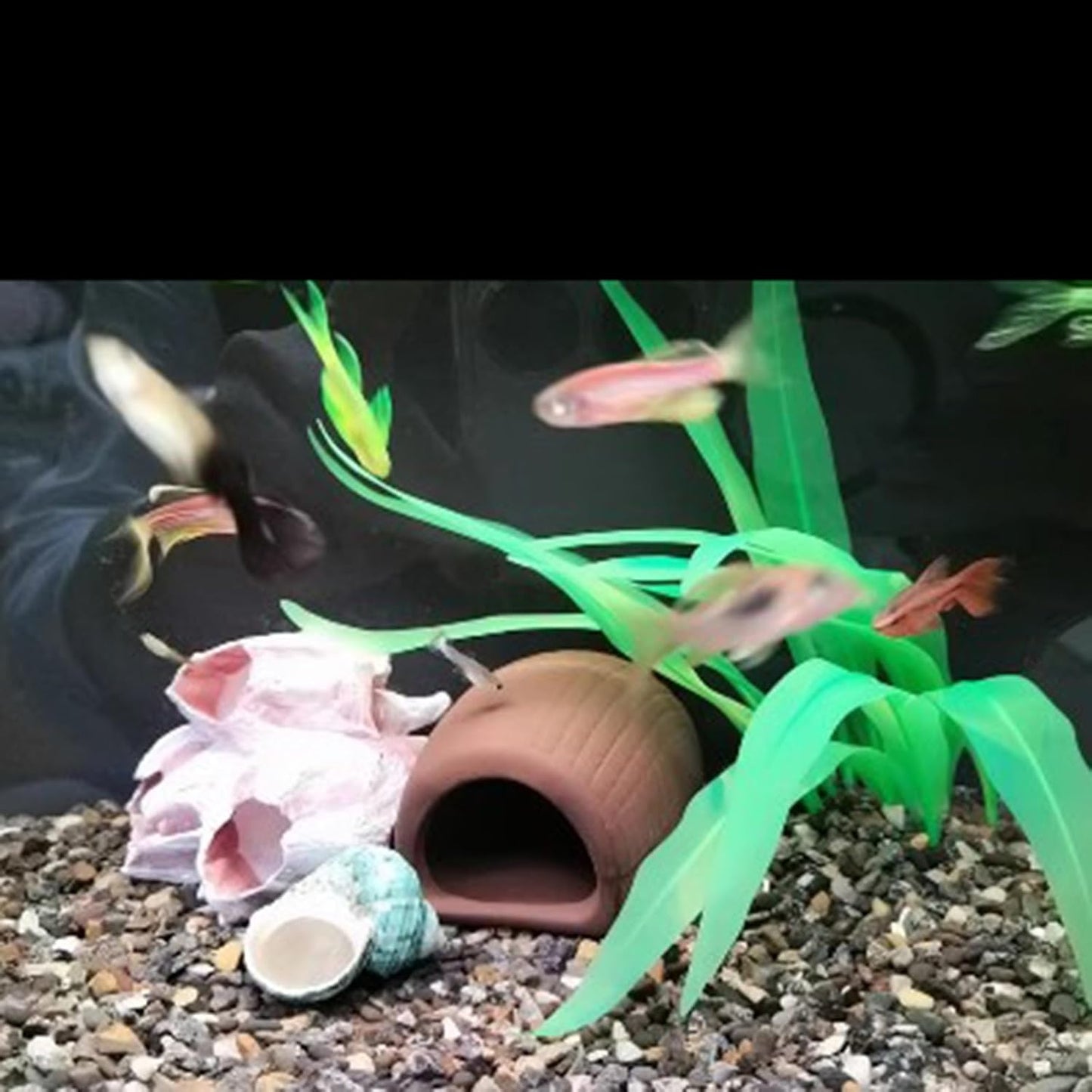 3Pcs Soft Silicone Aquarium Plants Set Glowing Kelp Fish Tank Plants Decor Artificial Green Aquarium Plant Simulation Artificial Water Grass for Fish Tank,7.08in9.84in16.9in