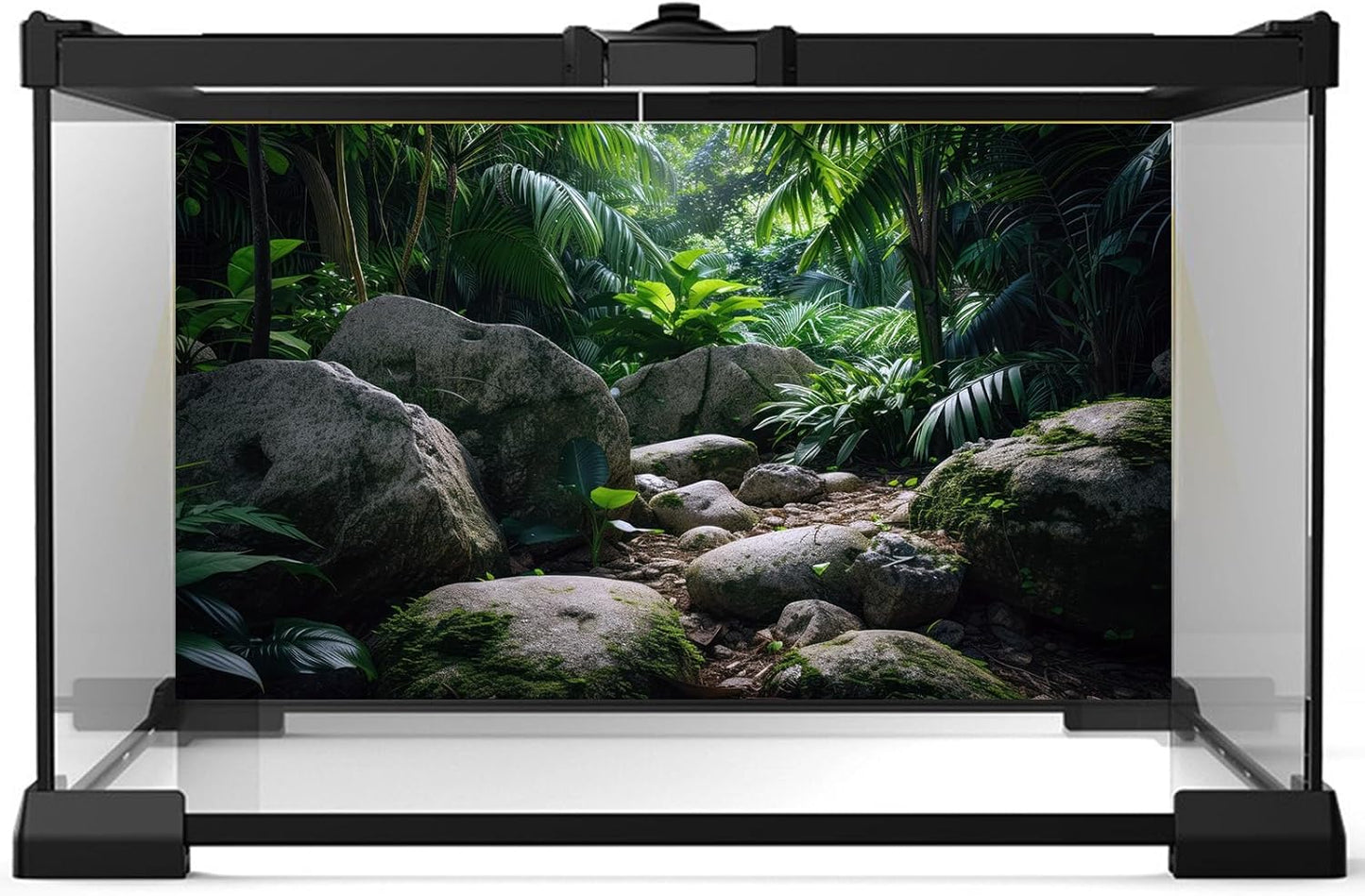 Reptile Habitat Backdrop Lush Tropical Plants and Rocks Terrarium Backdrop Dense Vegetation with Large Broad Leaves and Ferns Fish Tank Background Aquarium Wallpaper Poster Decor Vinyl 36x24in