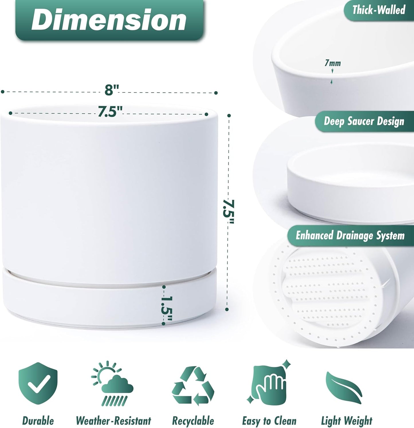 Phoenix Vine 8 Inch Planter Pot with Drainage Hole & Saucer, Deep Water Catch Tray, Straight Cylindrical Round Pot for Plants, Matte White, Pack of 1, 23-B-T-1