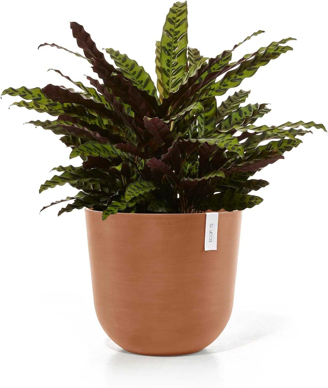 Ecopots Oslo Durable Modern Round Indoor/Outdoor Recycled-Based Composite Flower Pot Planter, Terracotta Color, 17.75"