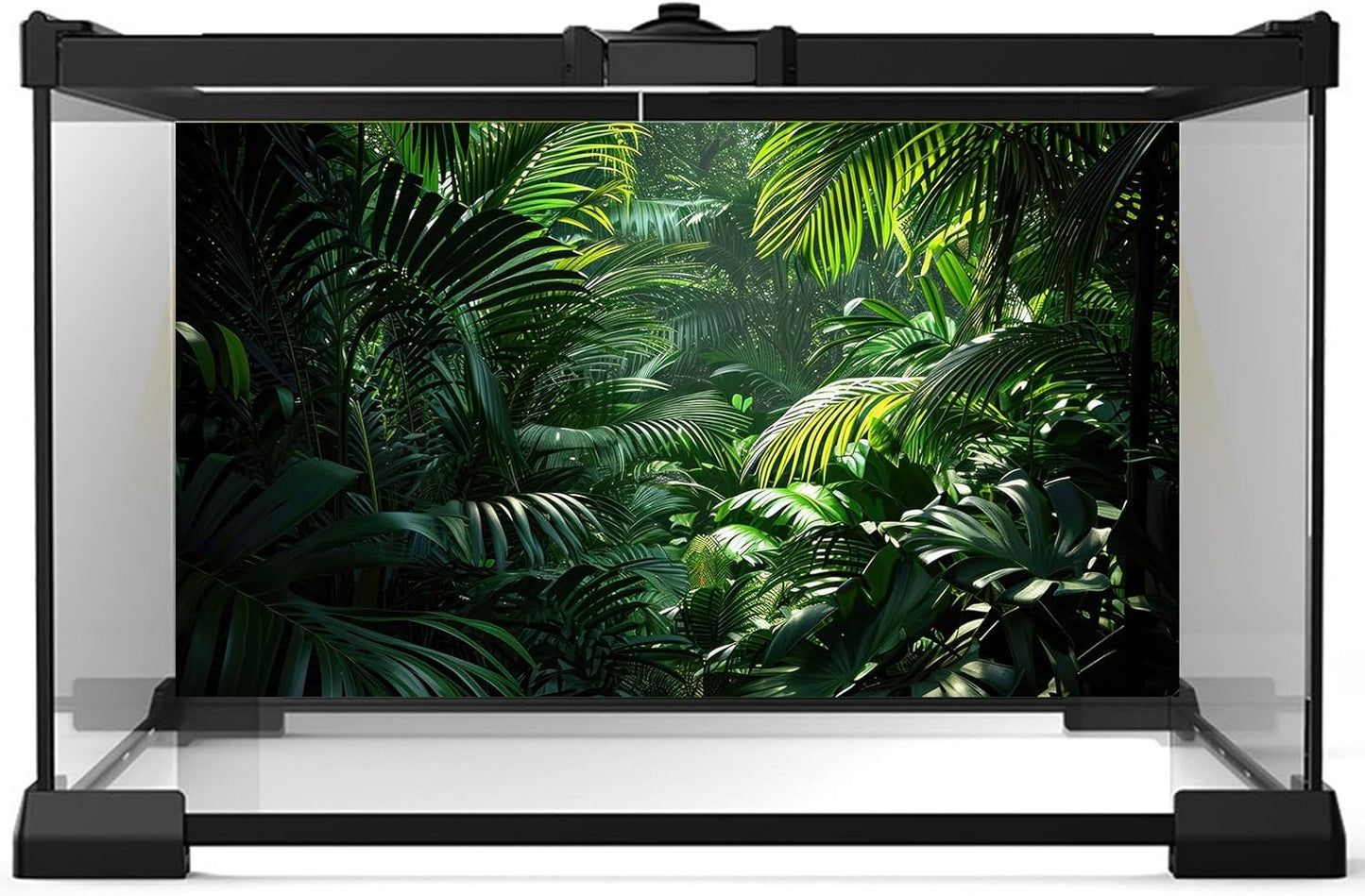 Aquarium Background Enchanting Beauty of Jungle Terrarium Backdrop Nature Jungle Green Leaf Palms Fish Tank Background Reptile Habitat Backdrop Wallpaper Poster Decor Vinyl 72x16in