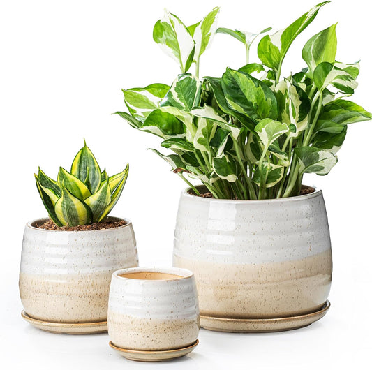 3 Pack Ceramic Small Plant Pots Planters for Indoor Flowers Plants with Drainage Holes & Saucer, Cactus Succulent, Home Decor, 3.4+4.7+6.1 Inch Flower Pot Set of 3, White