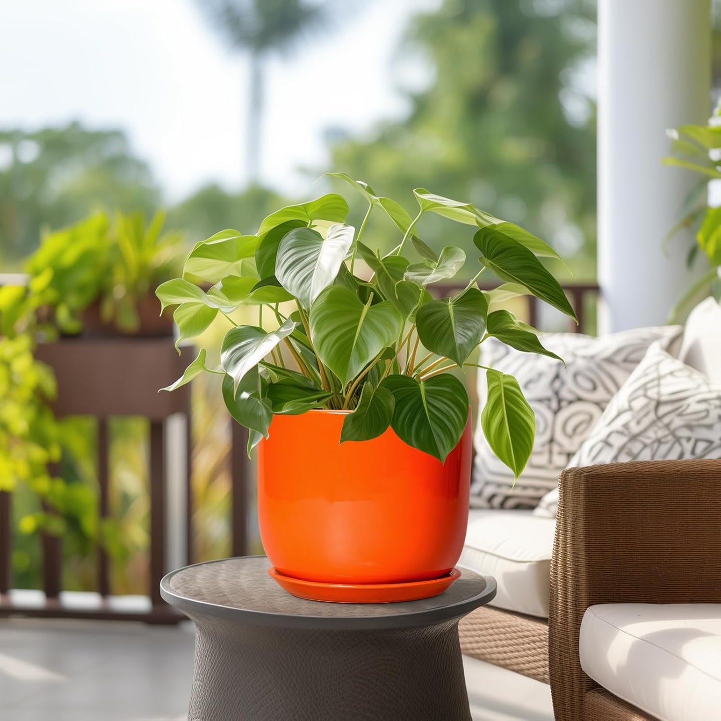 Ceramic Pot for Plants - 8 Inch Plant Pot with Drainage Hole and Saucer, Cylinder Modern Round Planter for Indoor Outdoor Plants, Housewarming Gifts, Office Home Garden Decor, Orange