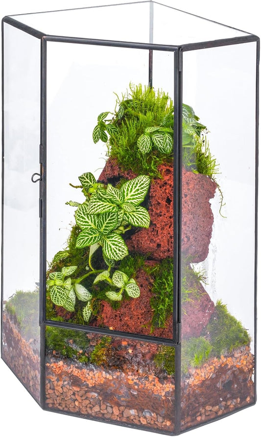NCYP Wall Corner Geometric Glass Terrarium, Closed Front Opening Door Container Planter for Succulents, Small Plants - Black, Indoor Decor, Tabletop Landscape, 6.1" x 6.1" x 11.8" (Terrarium Only)