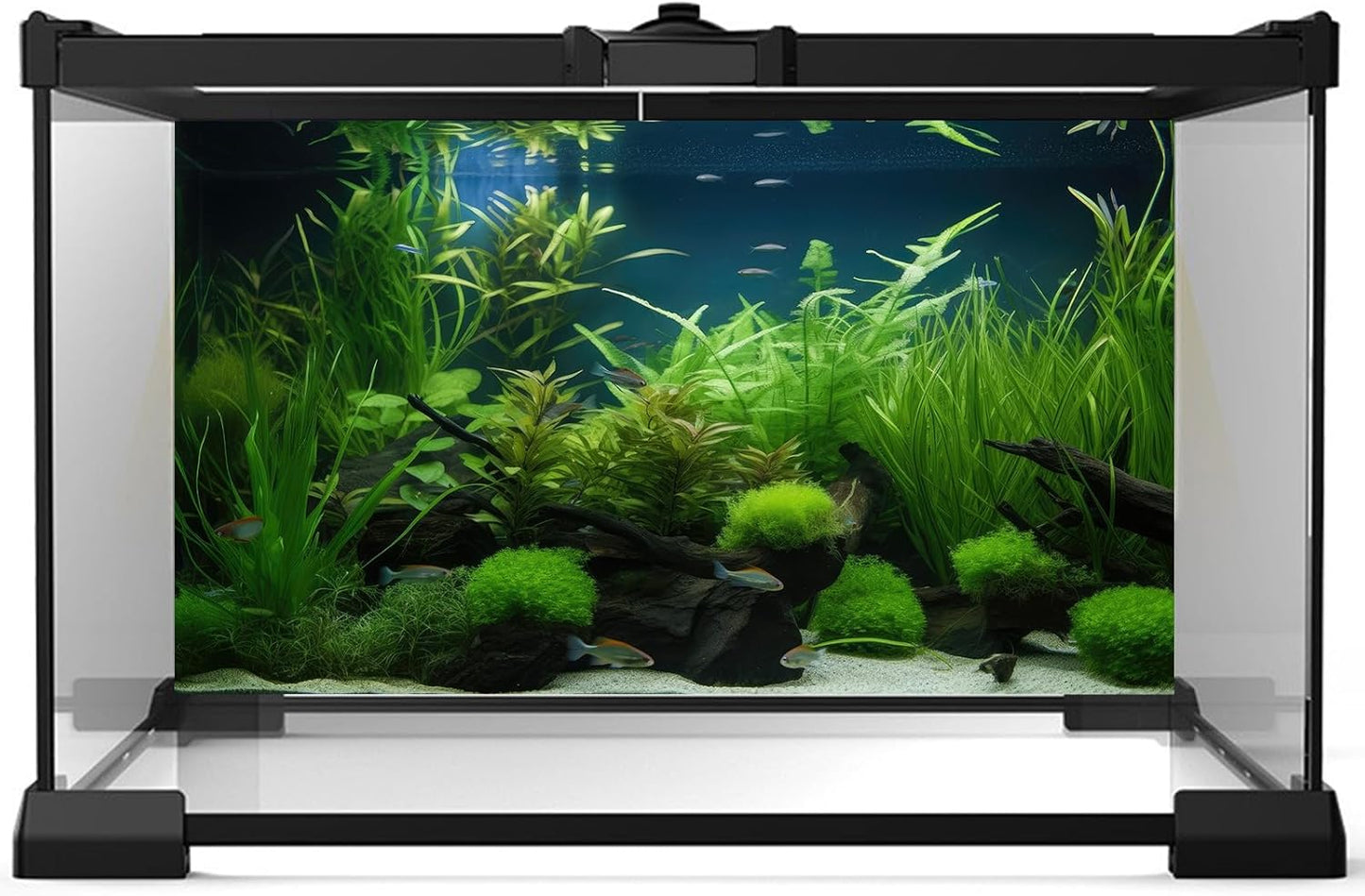 Aquarium Background Diverse Collection of Aquatic Plants Seagrasses Terrarium Background Redwood Root Moss Tropical Style Underwater Plants Fish Tank Background Under The Sea Aquarium Backdrop 72x18in