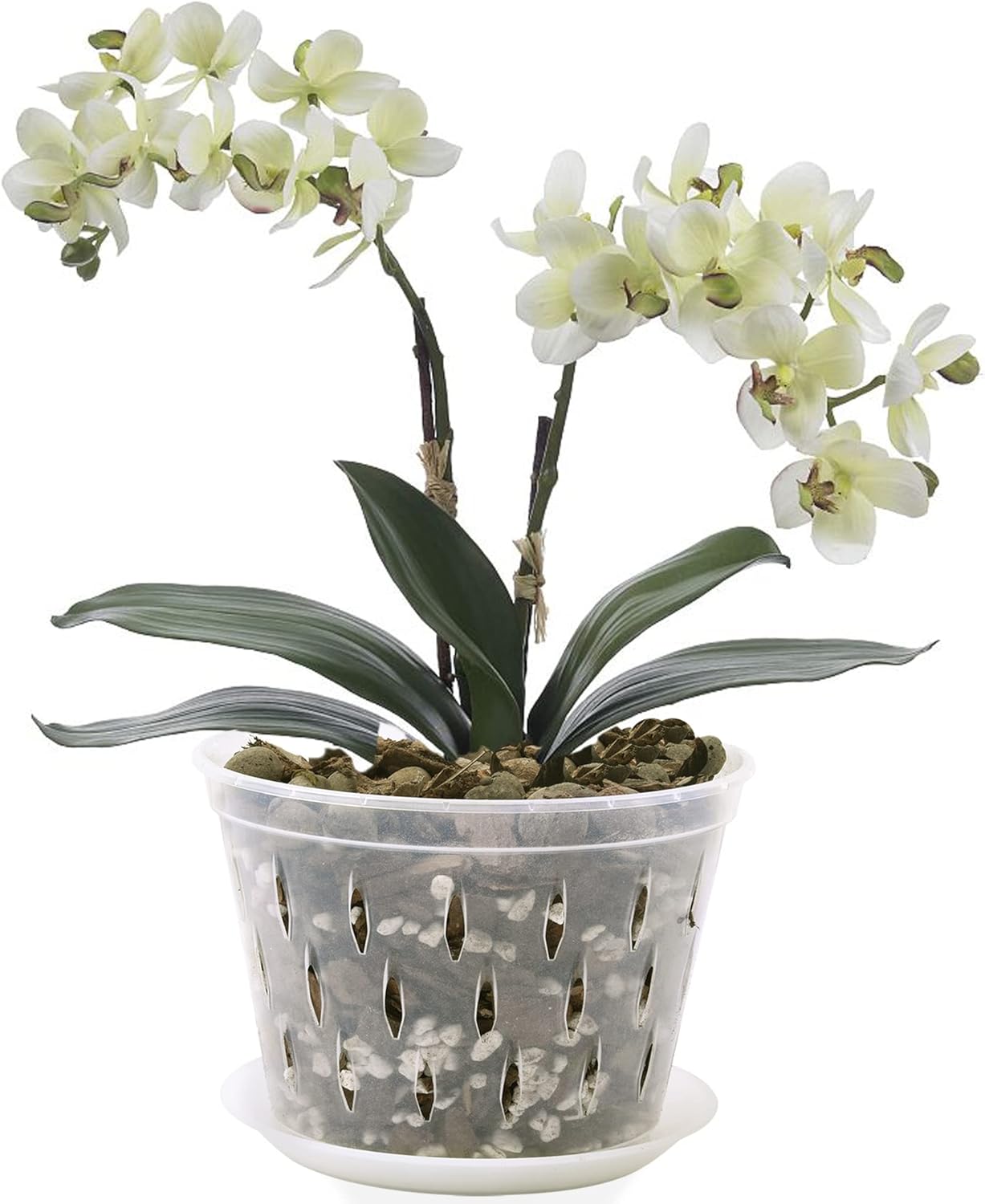 Orchid Pot, 8 Inch 4 Pack Orchid Pots with Holes and Saucers, Clear Plastic Orchid Pots