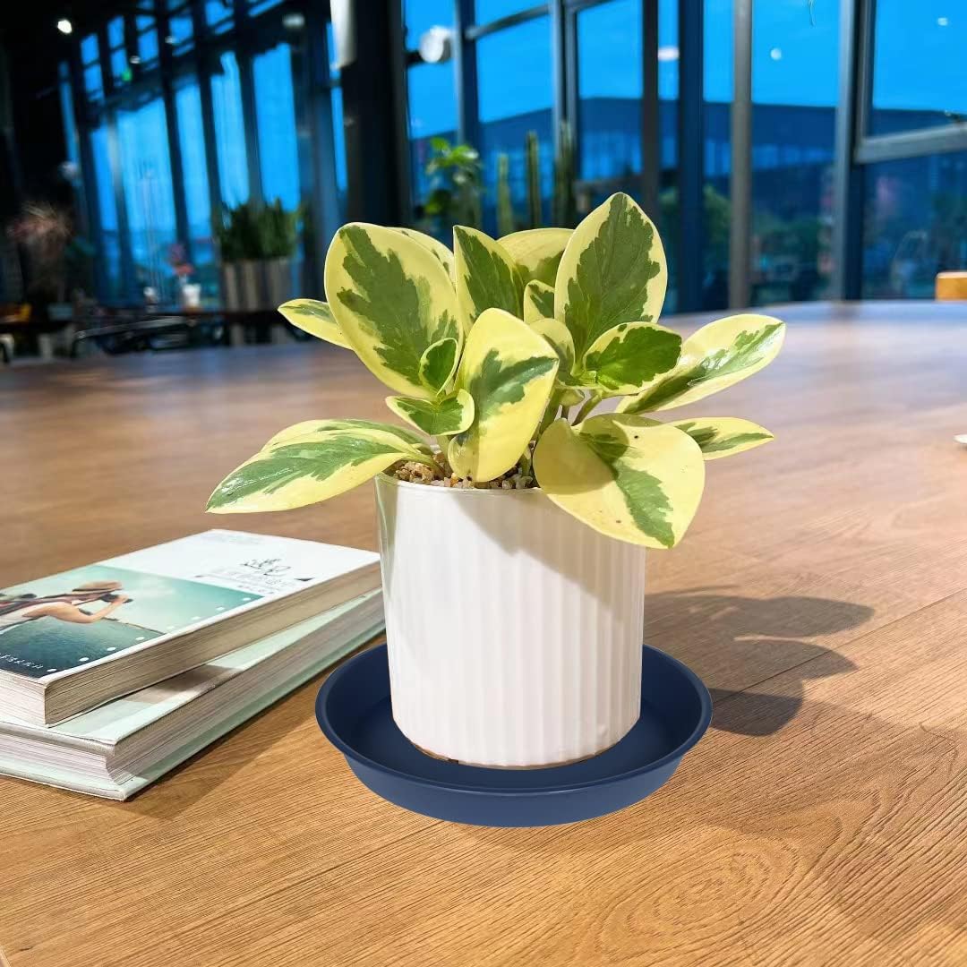 6 Pack Plant Saucer Drainage Tray, Plastic Plant Water Tray, 6 inch Flower Saucers for Indoors, Plant Dishes for Pots Base (6 inch, Blue)