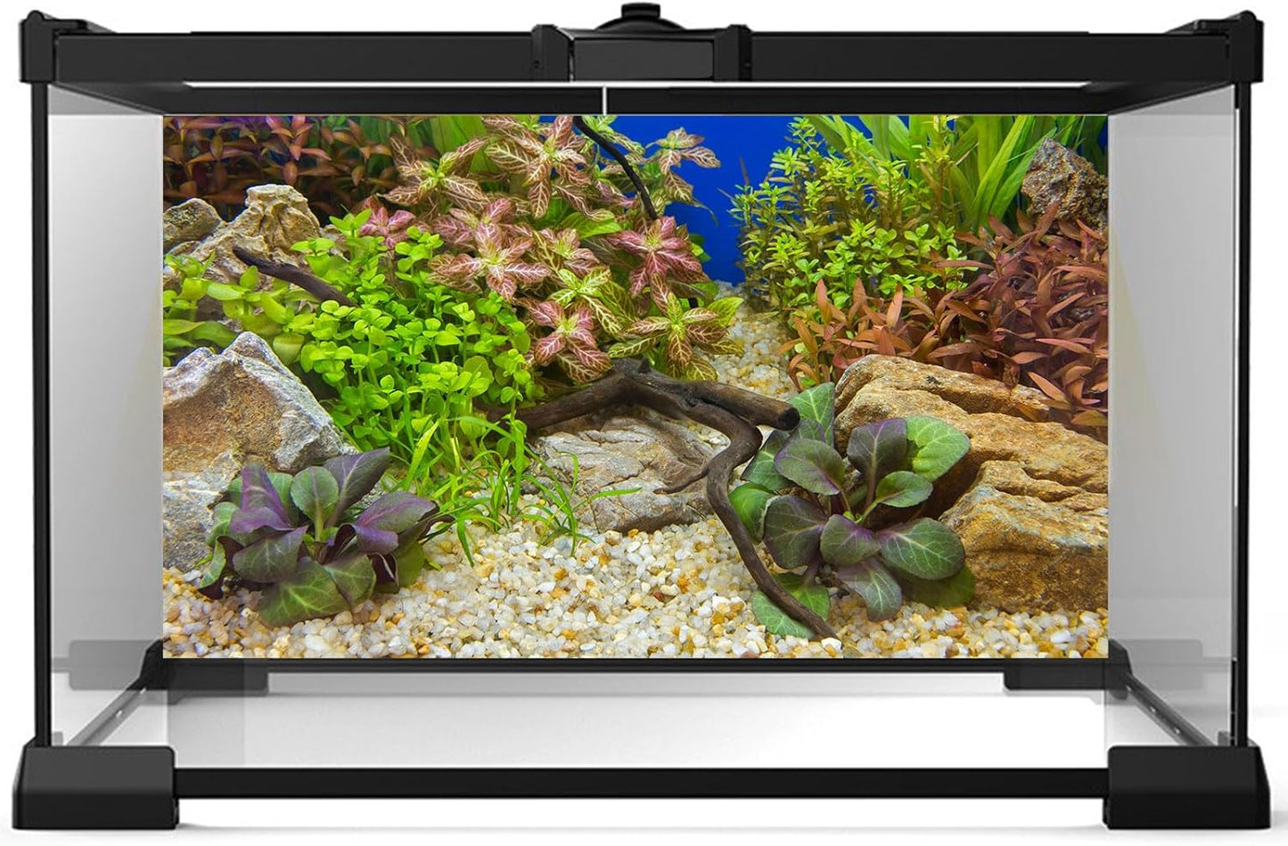Aquarium Background Various Underwater Grass Plants Pebble Aquarium Backdrop Vivid and Fresh Green Aquatic Plants Stone River Bed and Dead Wood Purple Leaves Tank Background Vinyl 72x24in