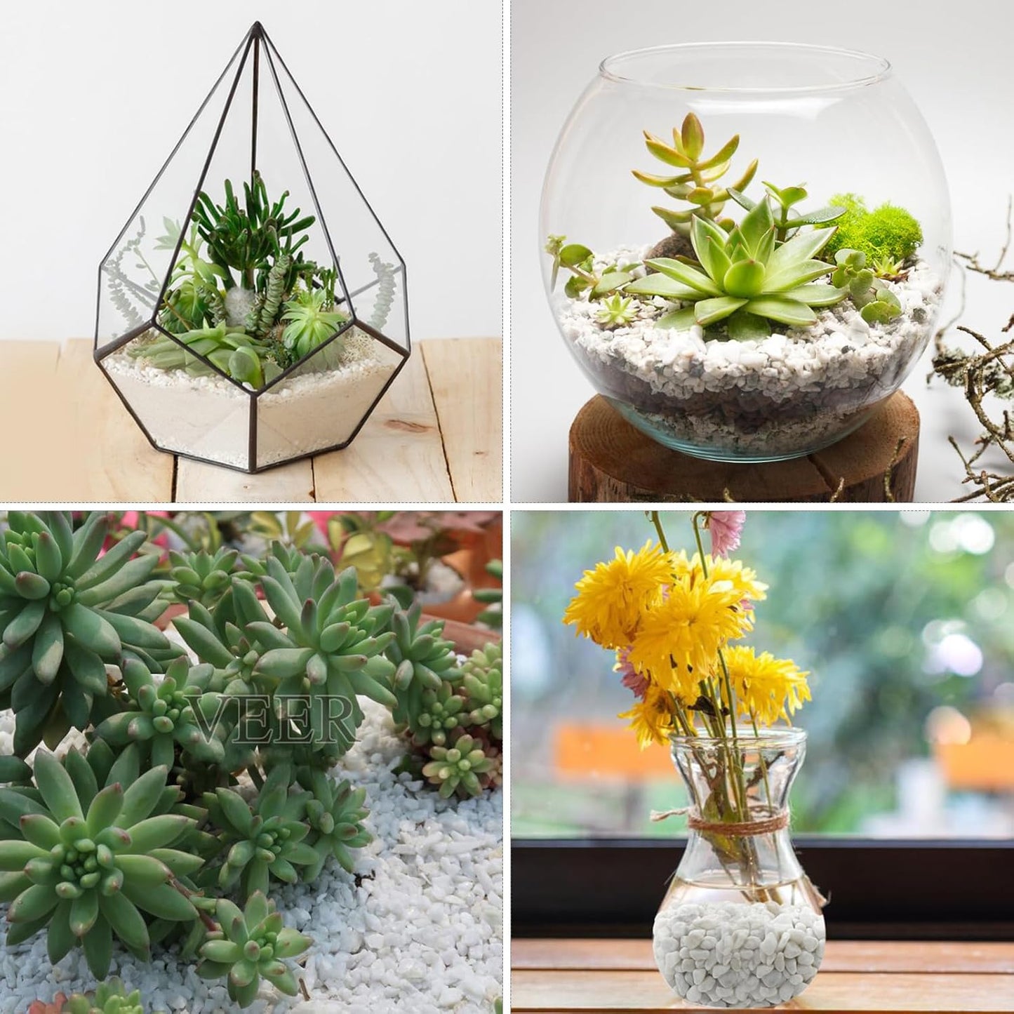 5lbs White Pebbles for Indoor Plants, 3/8inch Small Rocks for Succulent Cactus Planters, Natural Polished Pebbles, River Rocks for Plants, Vases, Garden