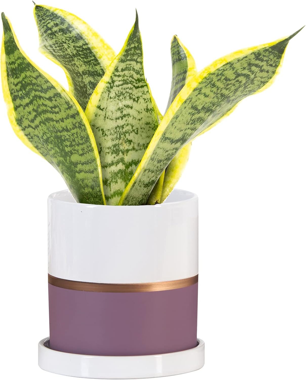 Ekirlin 5 inch Plant Pot - Ceramic Flower Planters Indoor - Modern Succulents Containers with Drain Hole Saucer, Decorate Home, Office & Outdoor (Purple)