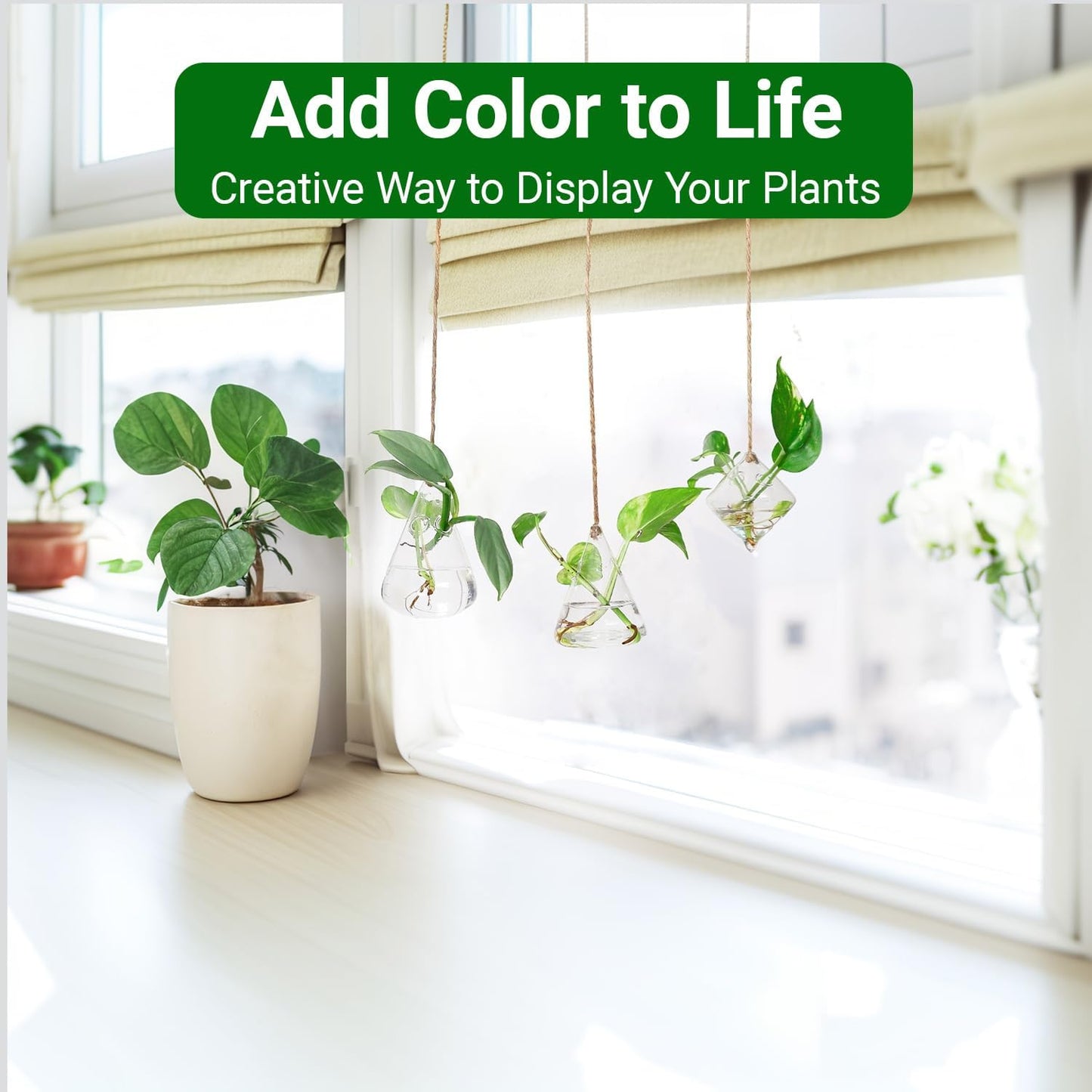 Glass Hanging Planter Plant Terrarium Hanging Propagation Station Container for Hydroponic Plants Home Garden Decor 3 Type