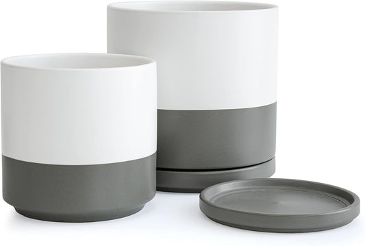 D'vine Dev 8 Inch & 10 Inch Ceramic Planter Pot for Plants with Drainage Hole and Saucer, Large Plant Pots Set, White/Speckled Grey, 94-G-L-6