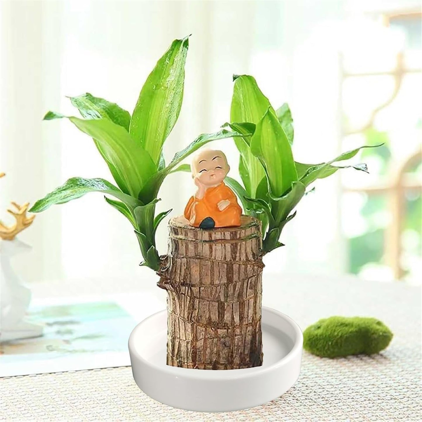 Plant Saucer Pot Tray Planter Saucers 4 Pack 4 in,5 6 7 8 9 10 11 12 13 Inch for Indoors Outdoor, Durable Sturdy Ceramic Flower Drainage drip Water Tray for Glazed Pots Base (4 Inch-White)