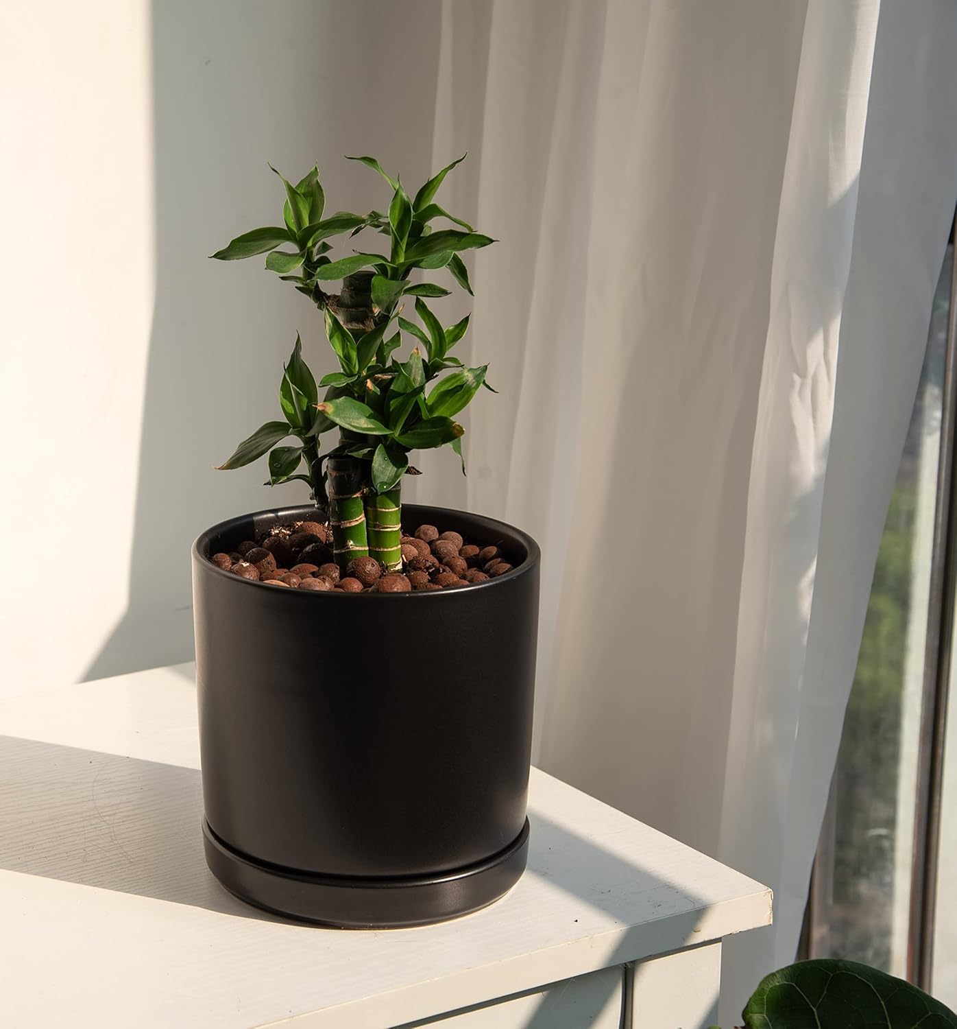 D'vine Dev 6 Inch Ceramic Planter Pot with Drainage Hole and Saucer, Indoor Cylinder Round Flower Pot, Black, 94-O-C-2