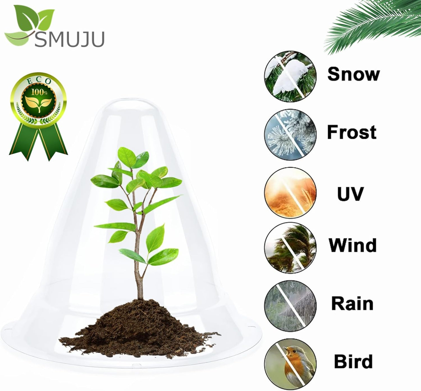 【10 Pieces】 Garden Cloches for Plants, Large Plant Covers Plant Protectors Transparent Bell Jar Cloches to Protect Plants from Birds, Slugs, Frost, Freeze Weather, 10.6" D x 9.5" H, Transparent