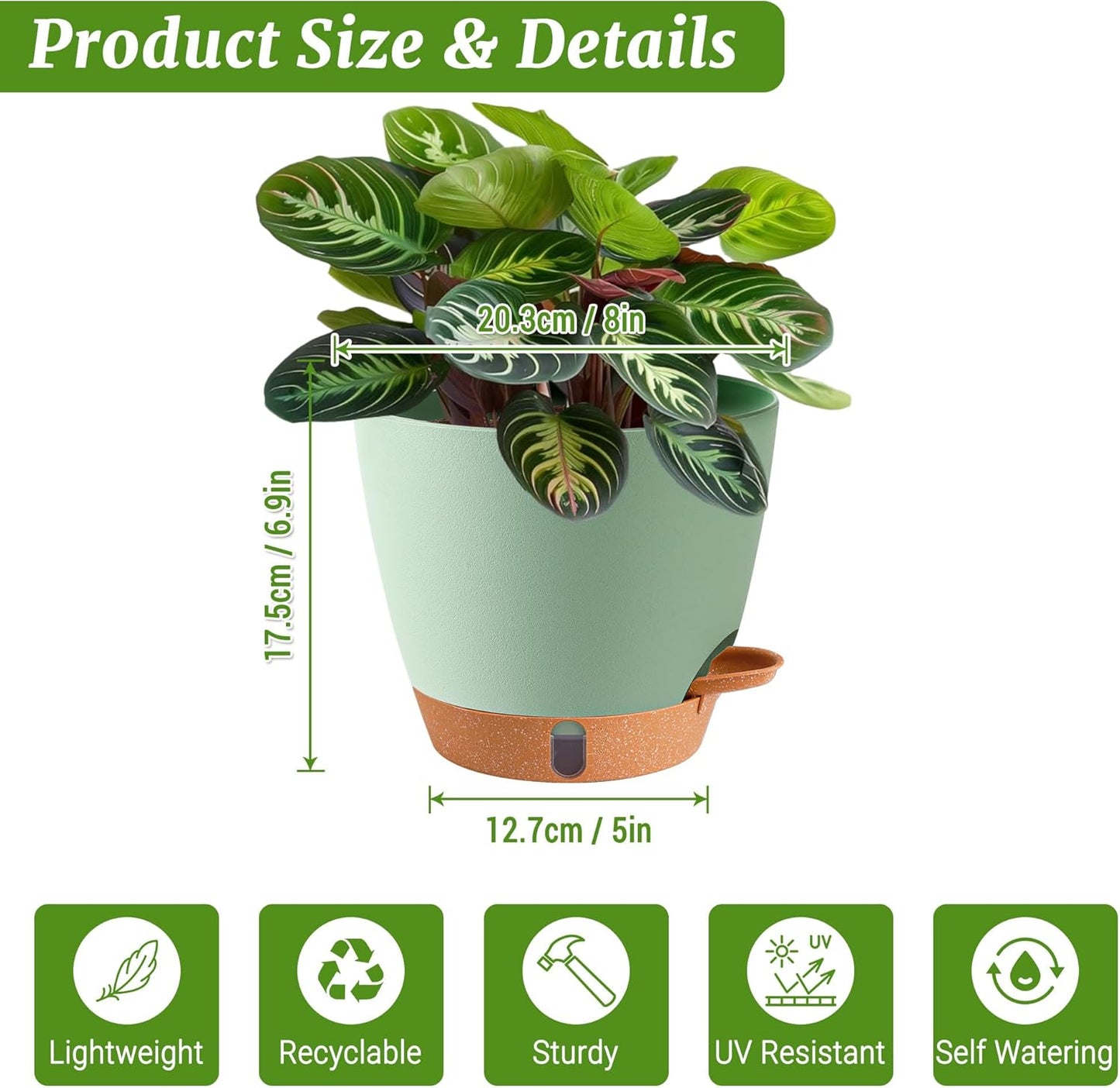 2 Pack 8 Inch Pots for Plants Indoor, Plastic Self Watering Planters with Drainage Holes, Water Level Indicator & Deep Reservoir, Decorative Flower Pots Indoor Outdoor Use (Green