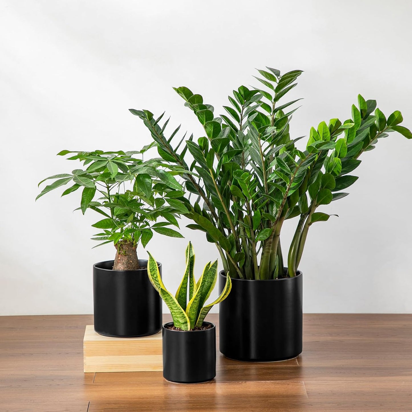 vancasso 6"+8"+10" Ceramic Pot for Plants, Large Outdoor Indoor Planter Pots with Drainage Holes, Set of 3, Black