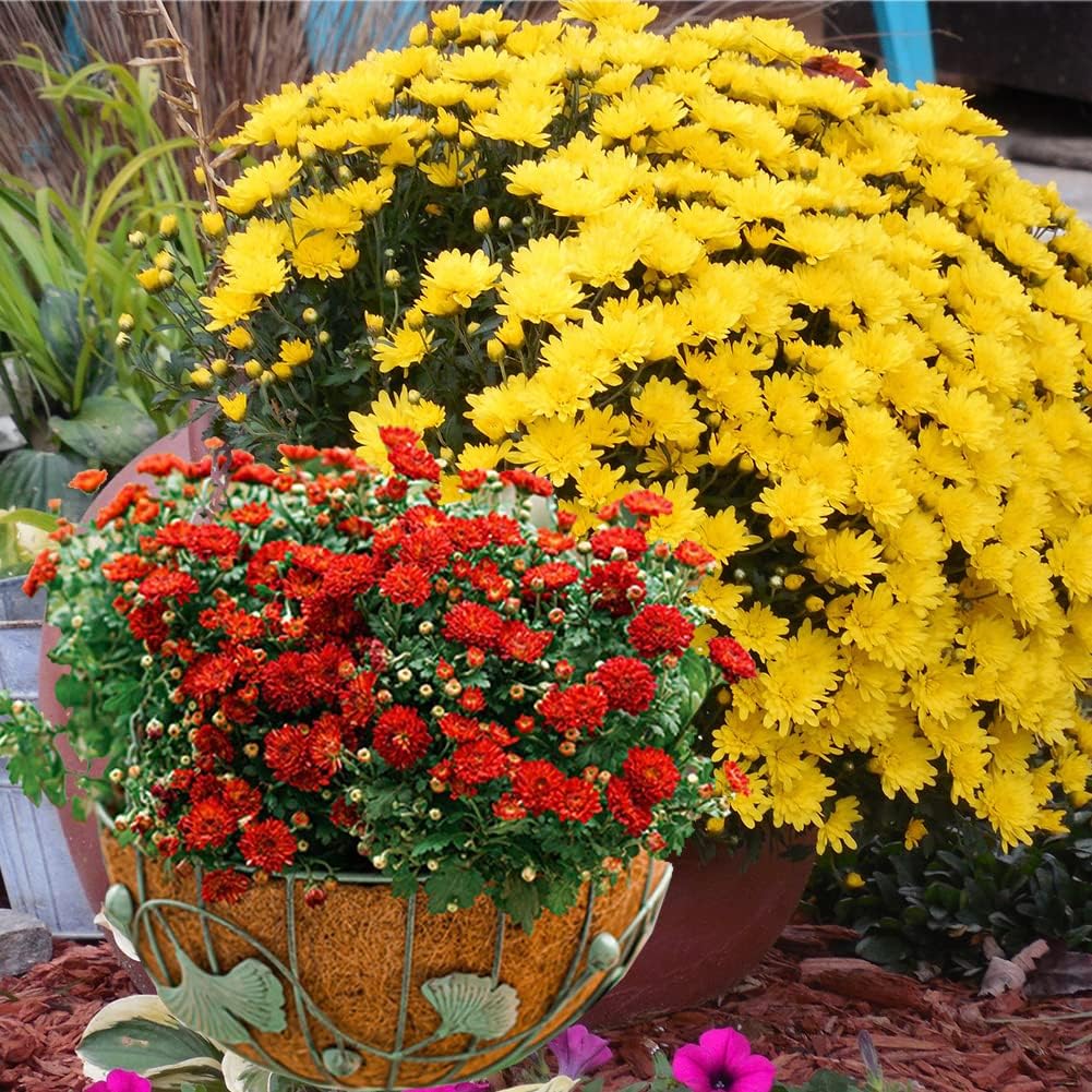 4PCS Coco Liner for Hanging Basket 18 Inch Round 100% Natural Planter Liner Replacement